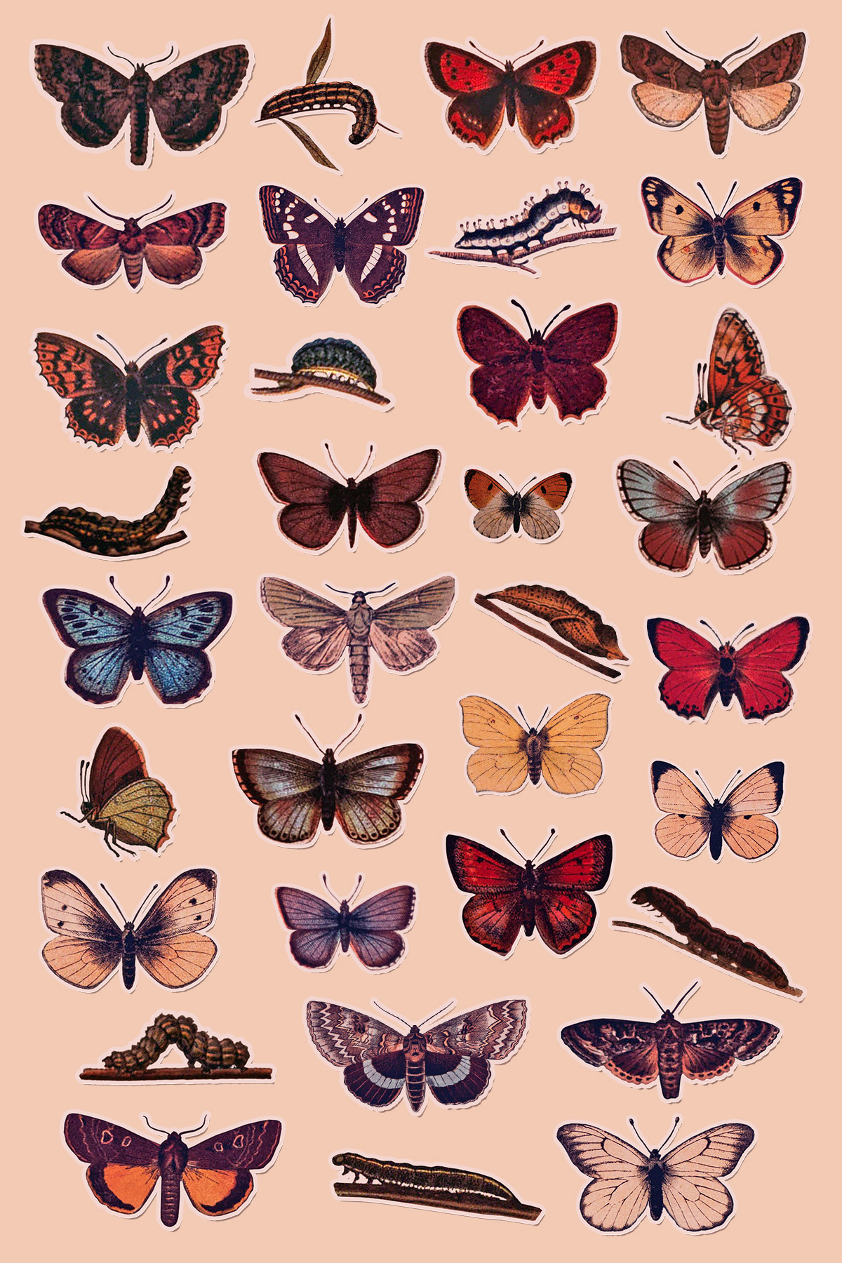 Vintage Butterfly Wallpapers