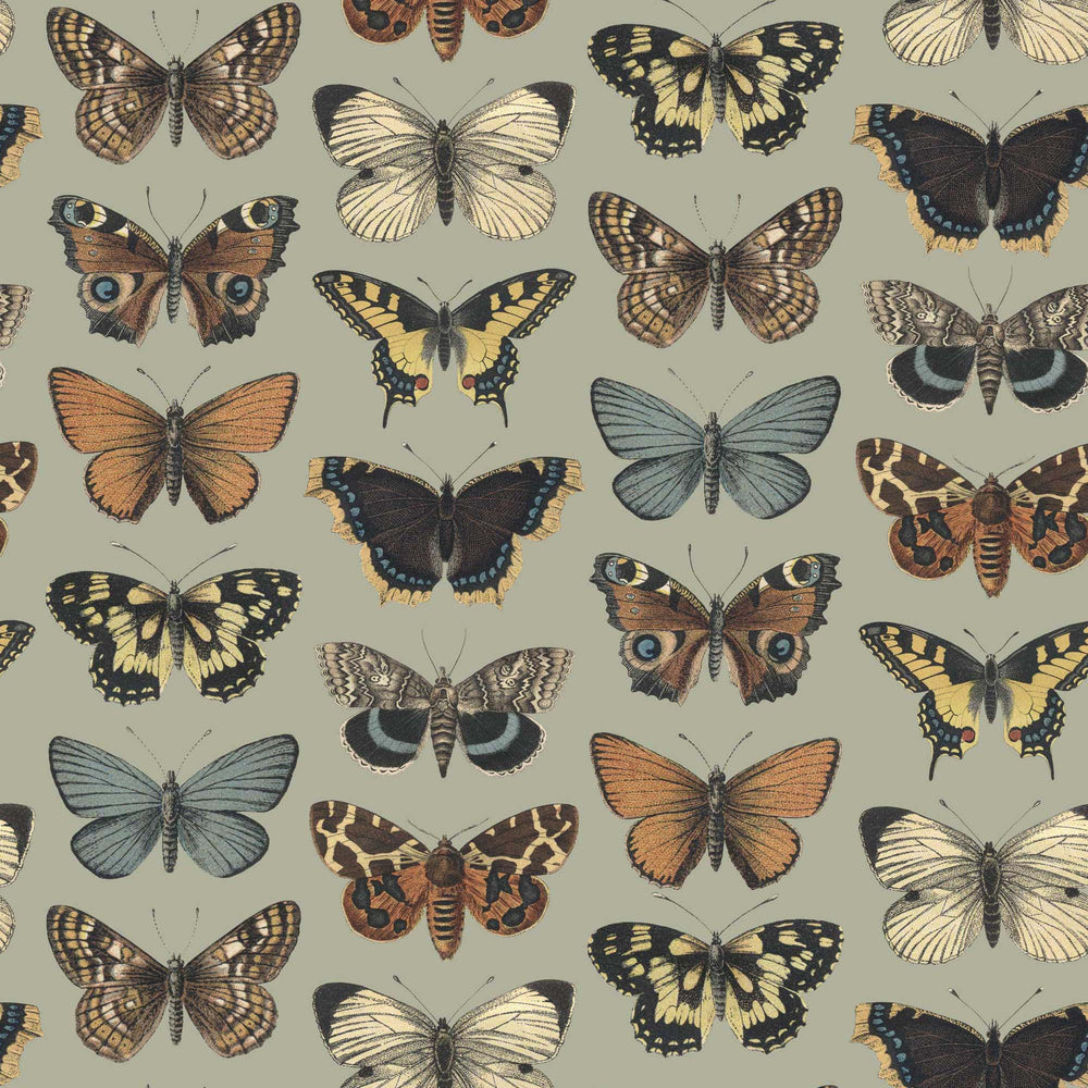 Vintage Butterfly Wallpapers