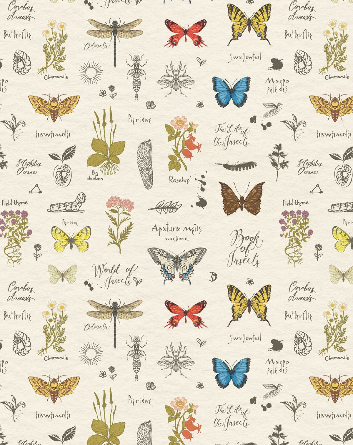 Vintage Butterfly Wallpapers