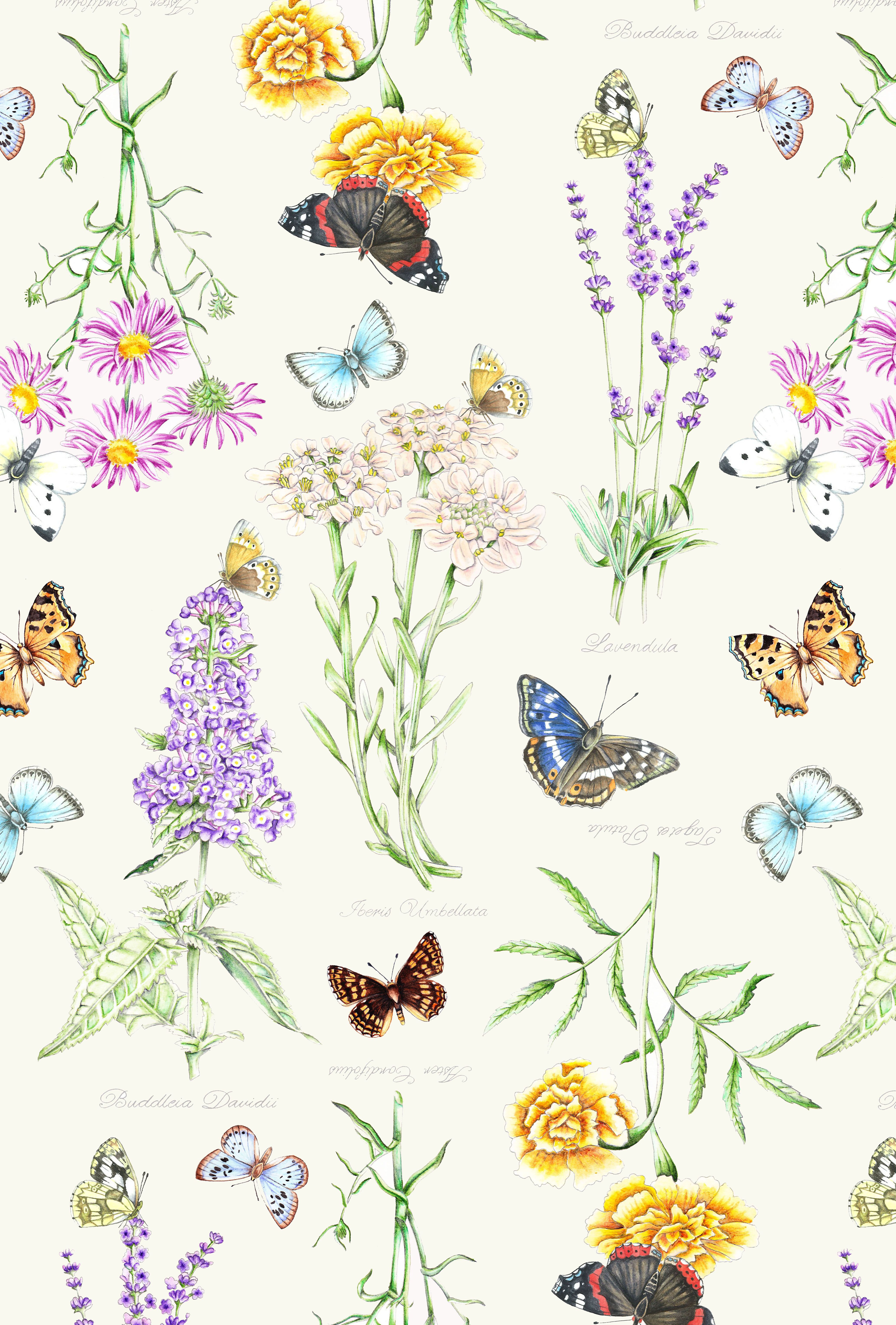 Vintage Butterfly Wallpapers