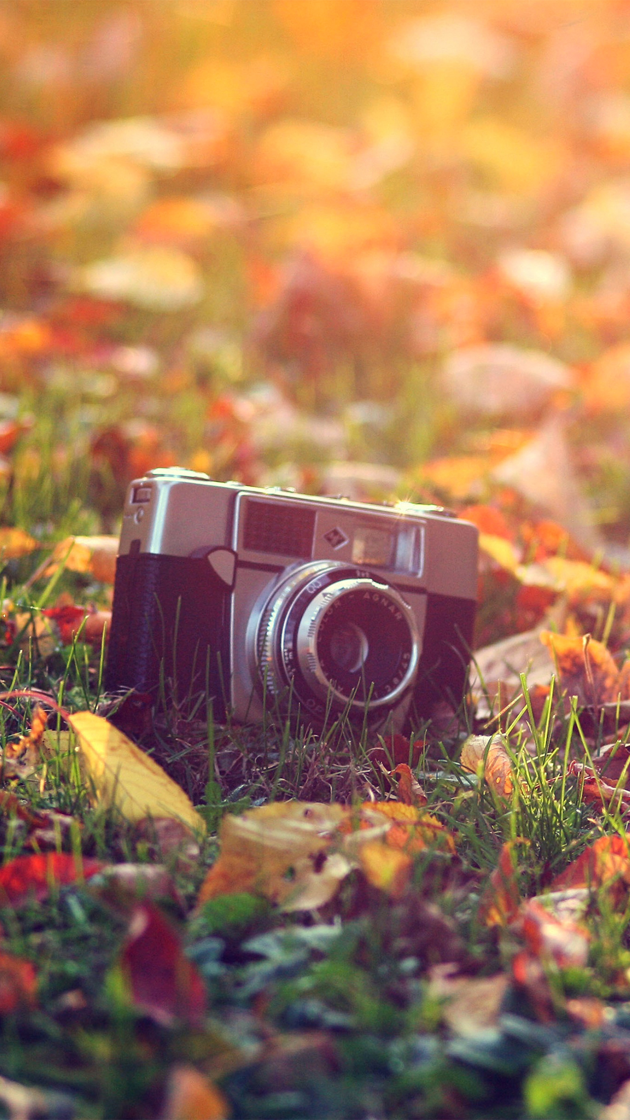 Vintage Camera Aesthetic Wallpapers