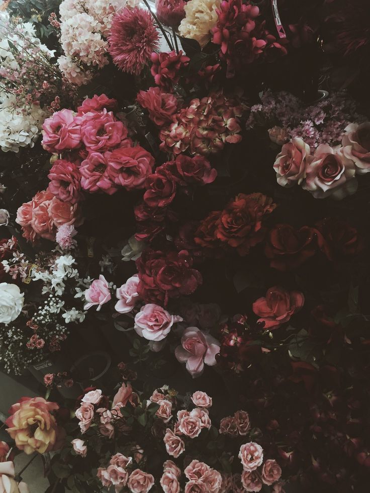 Vintage Dark Flower Aesthetic Wallpapers