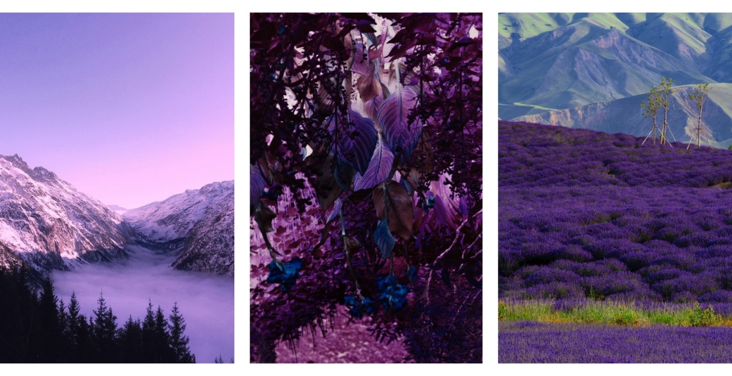 Violet Aesthetic Wallpapers