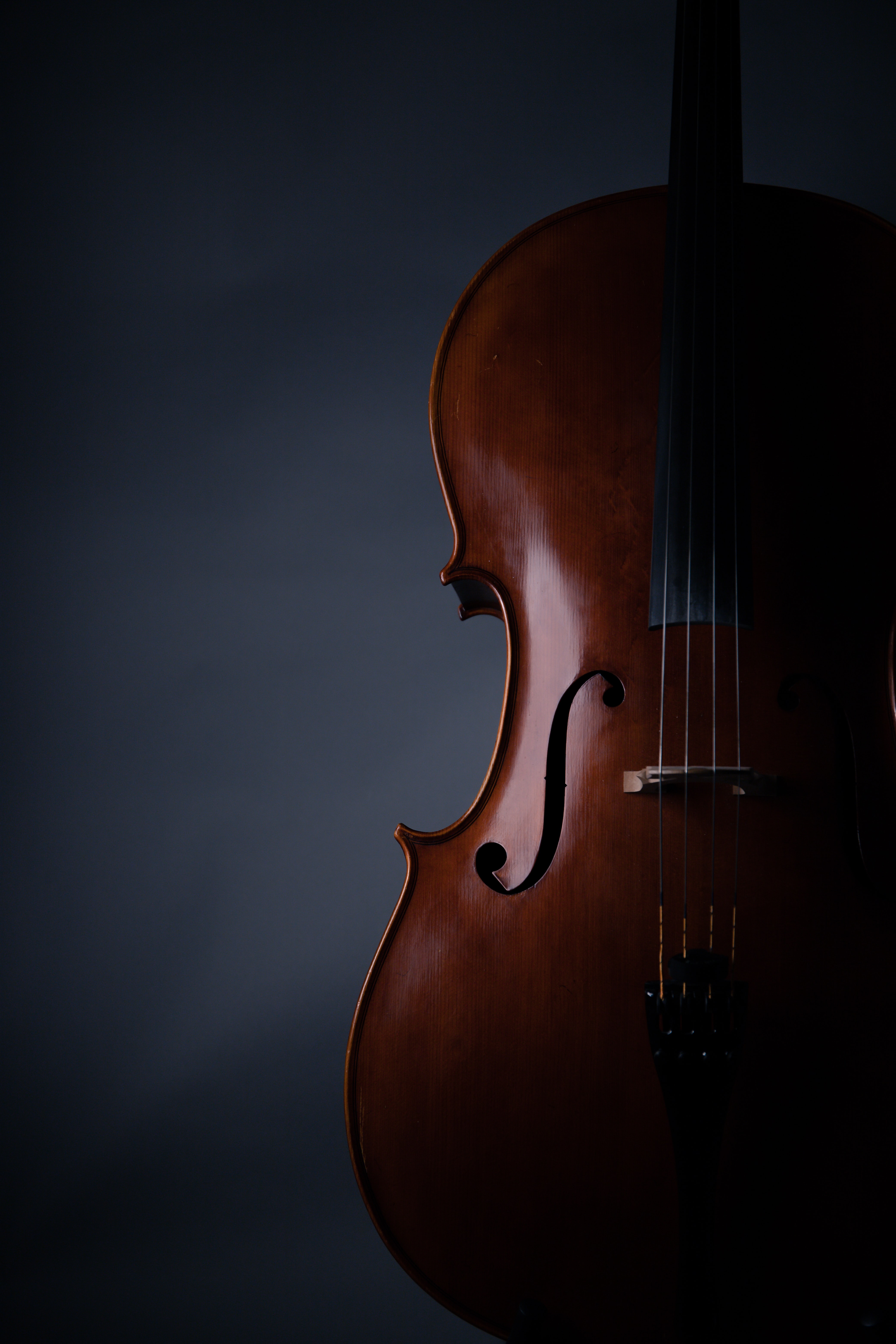 Violin For Iphone Wallpapers