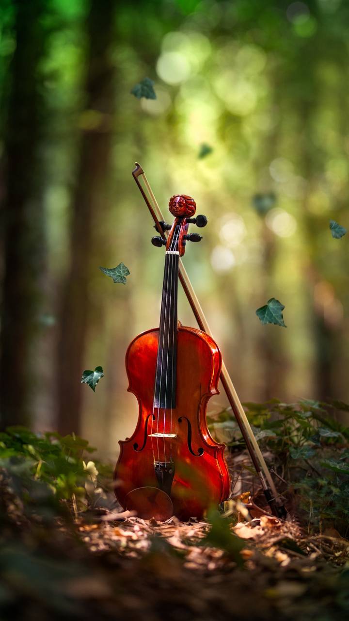 Violin For Iphone Wallpapers