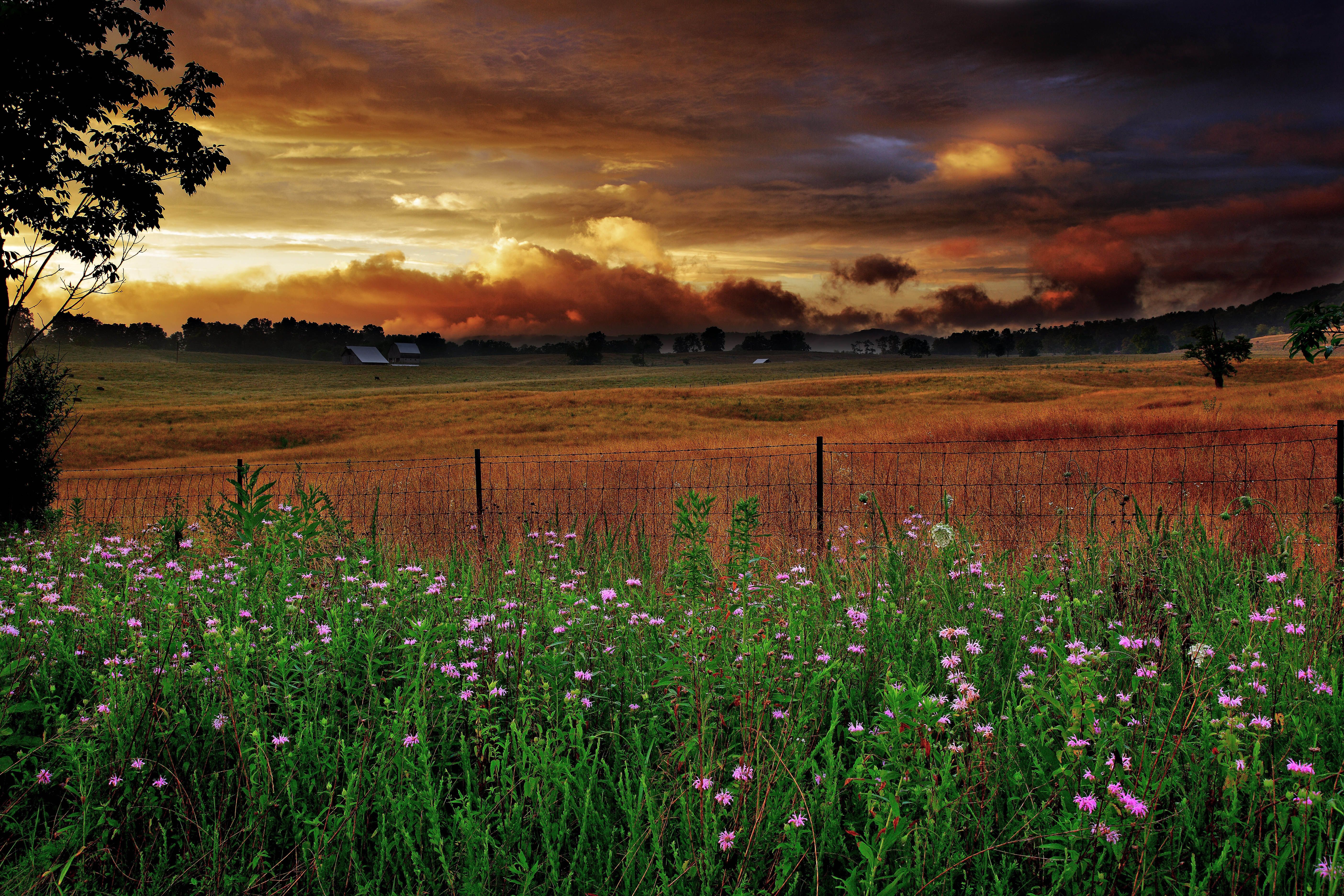 Virginia Summer Wallpapers