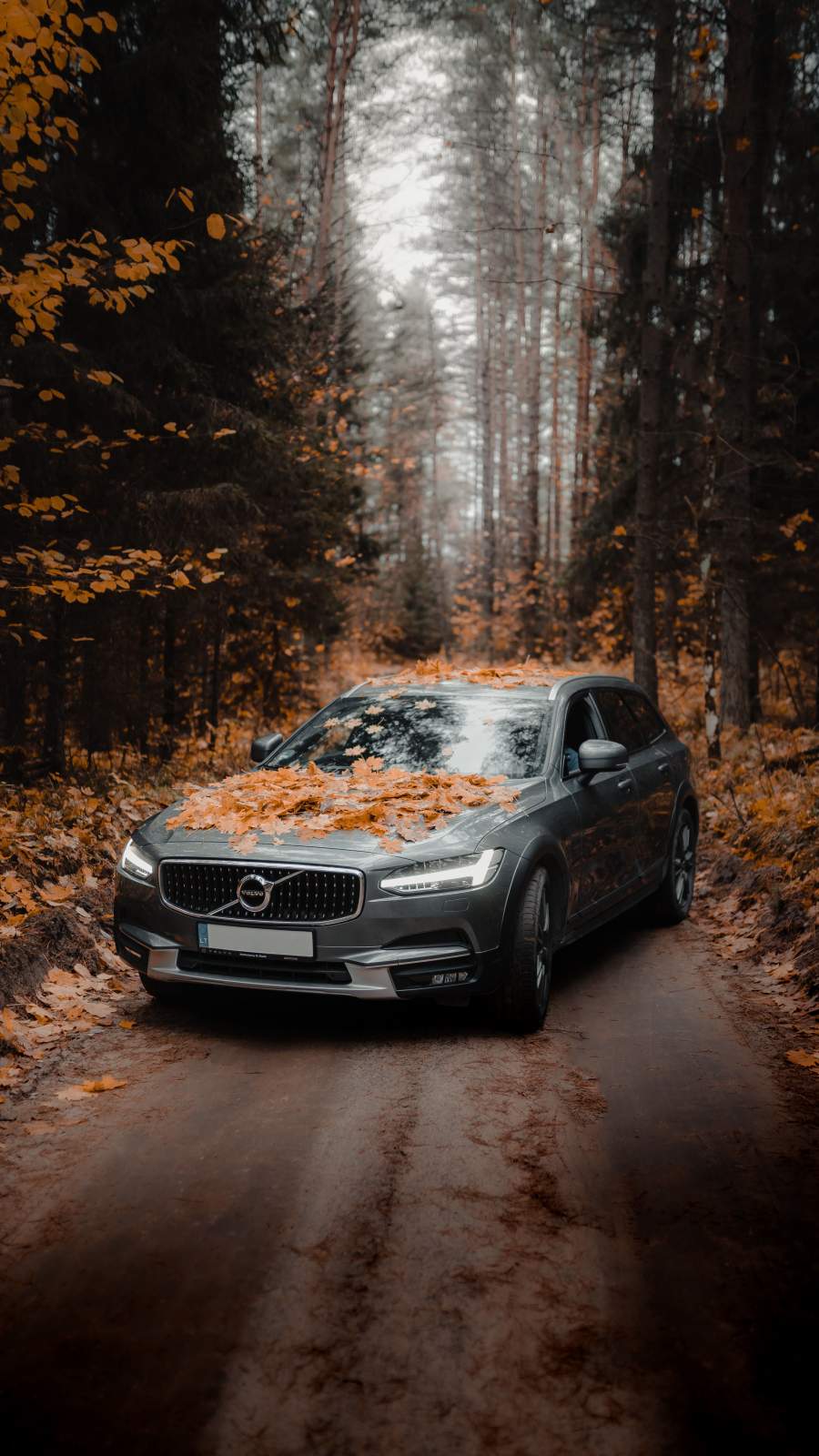 Volvo Iphone Wallpapers