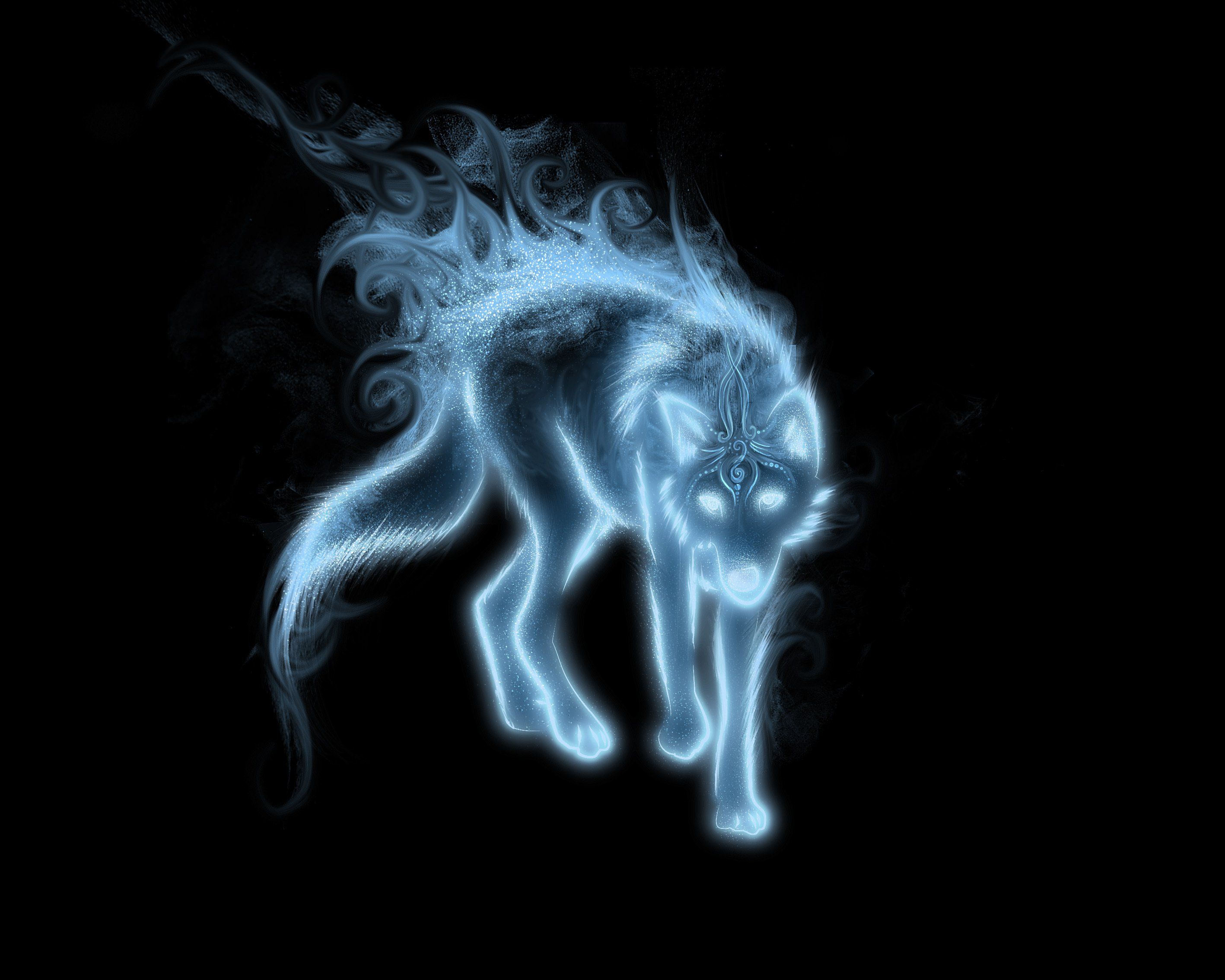 Wallpaper Blue Fox Wallpapers