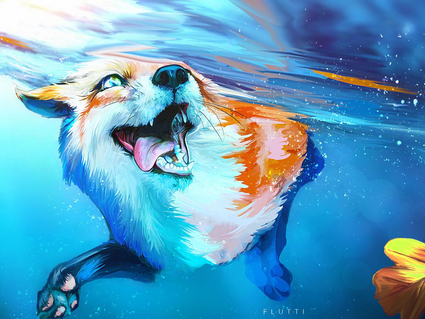 Wallpaper Blue Fox Wallpapers