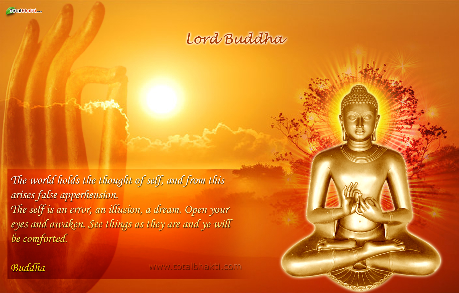 Wallpaper Buddha Wallpapers