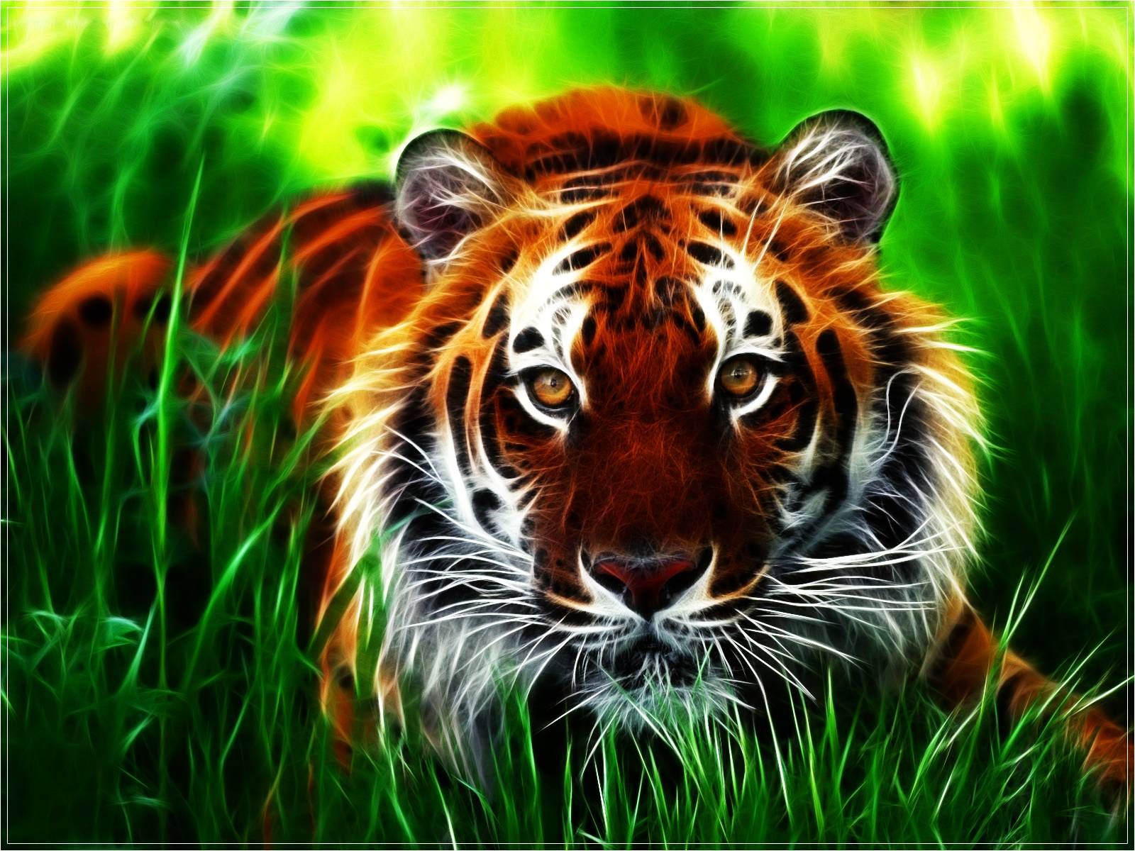 Wallpaper Cool Tigers Wallpapers