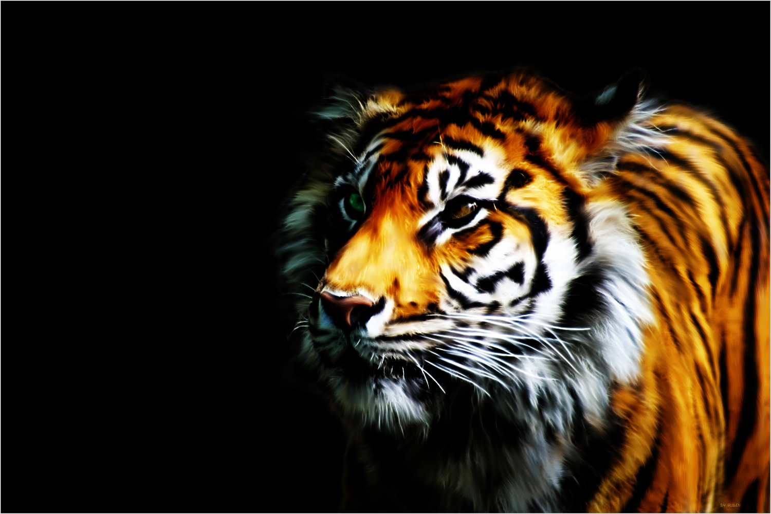 Wallpaper Cool Tigers Wallpapers