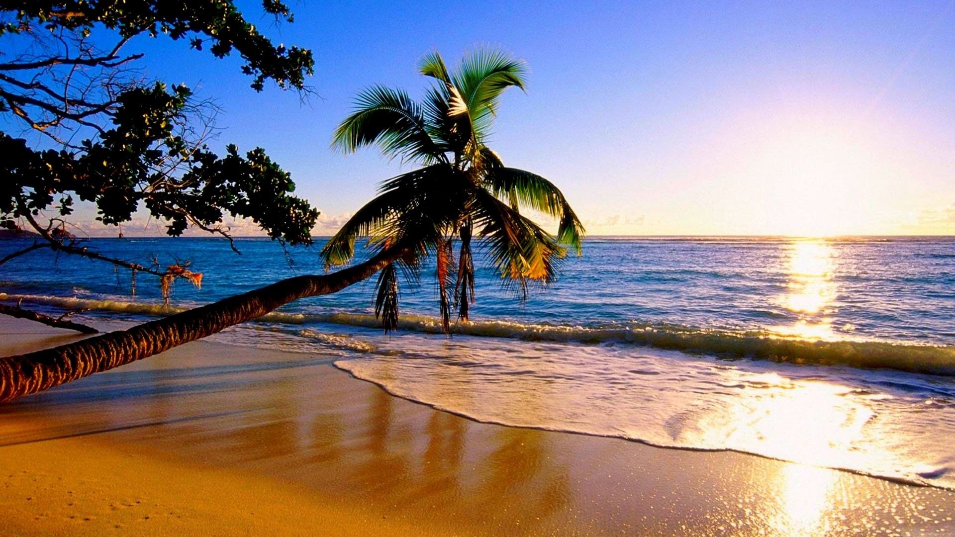 Wallpaper Hawaii Beach Wallpapers