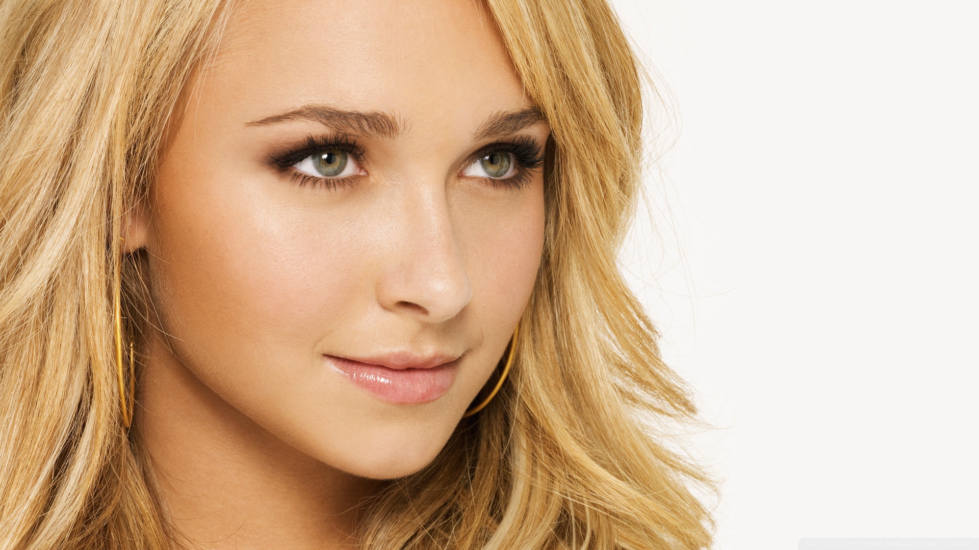 Wallpaper Hayden Panettiere Wallpapers