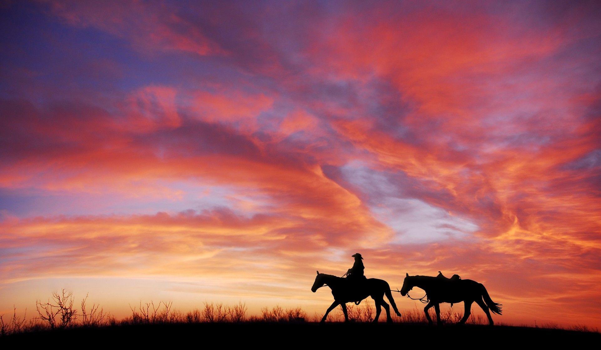 Wallpaper Horse Sunset Wallpapers