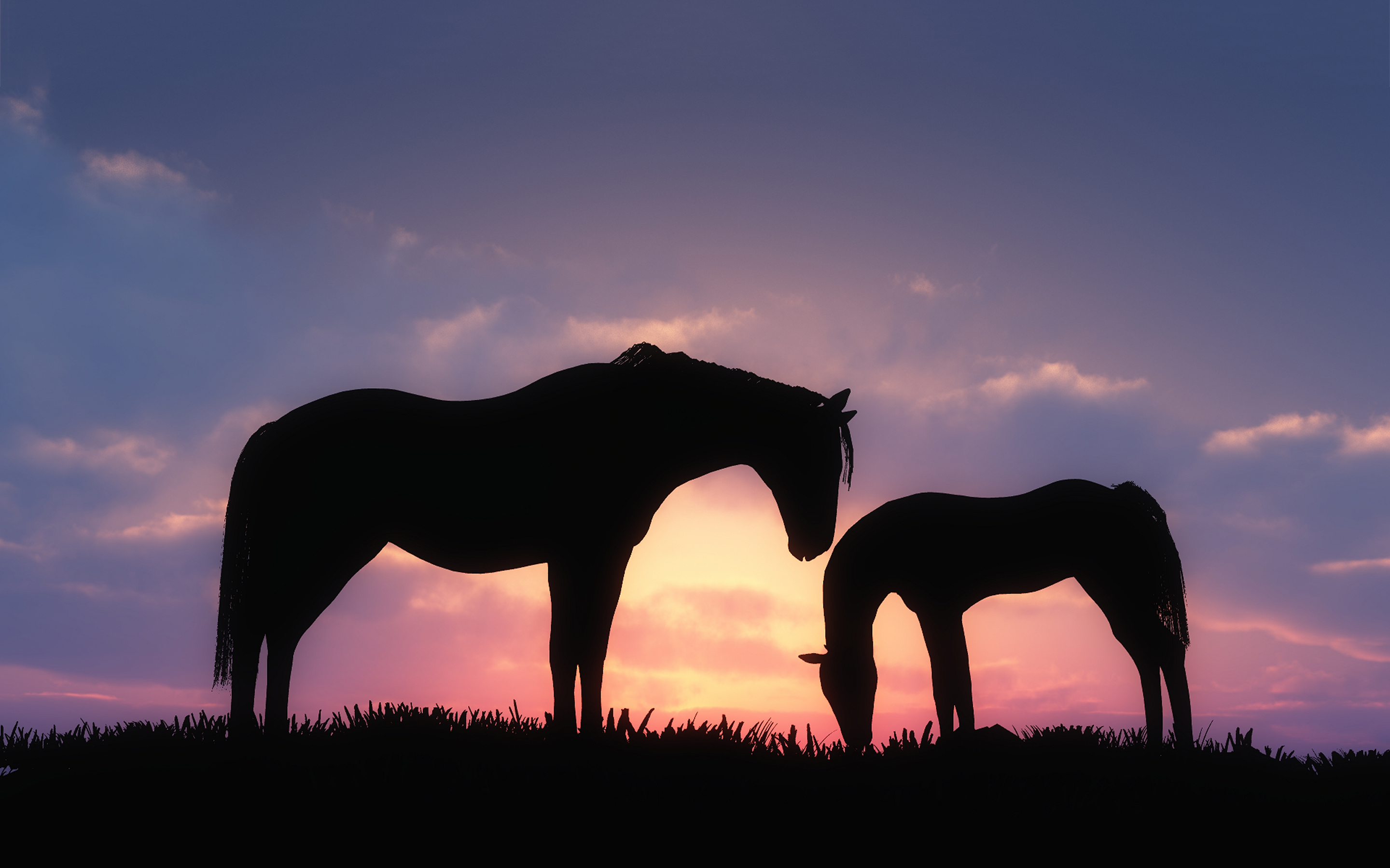 Wallpaper Horse Sunset Wallpapers