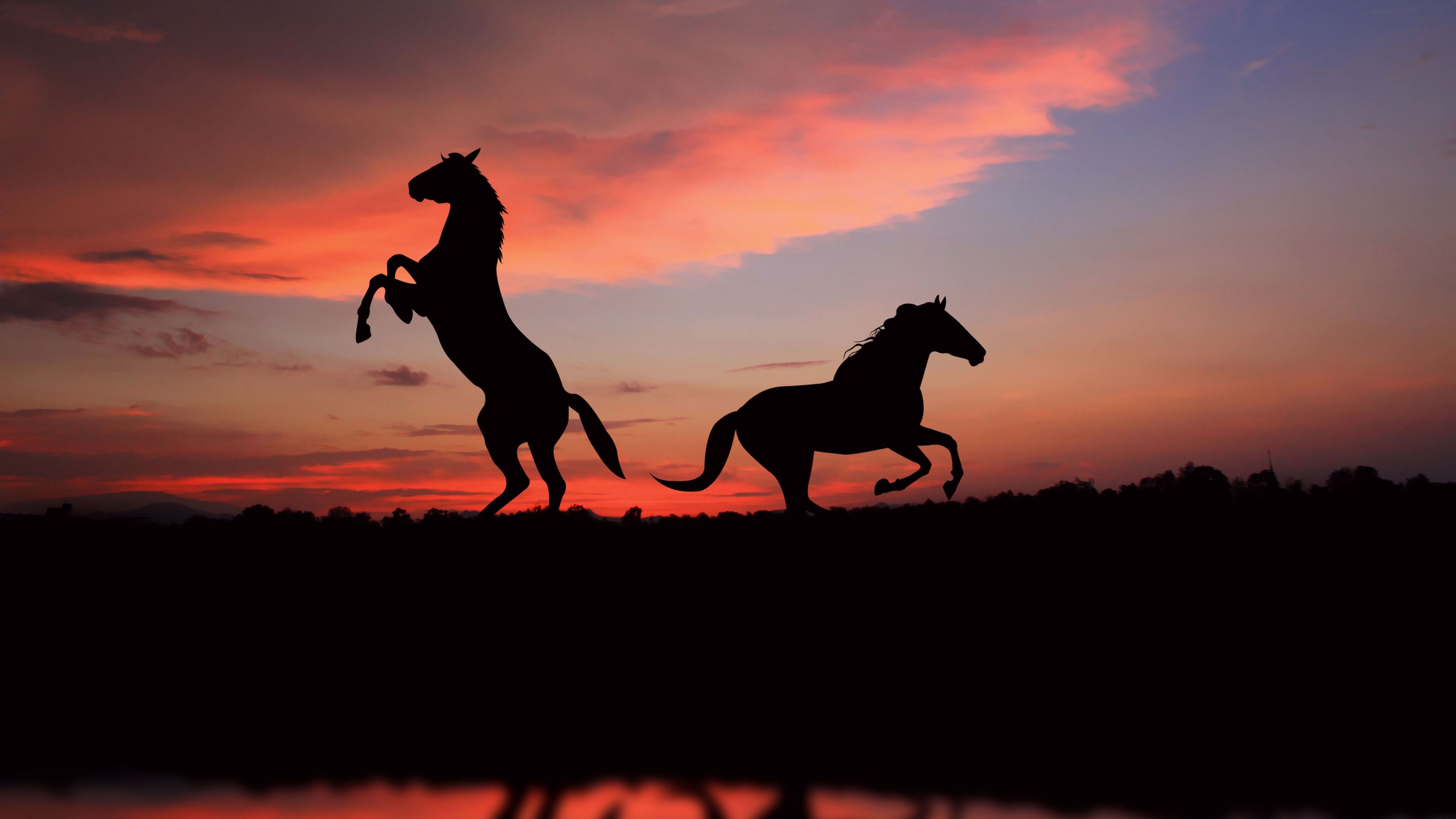 Wallpaper Horse Sunset Wallpapers