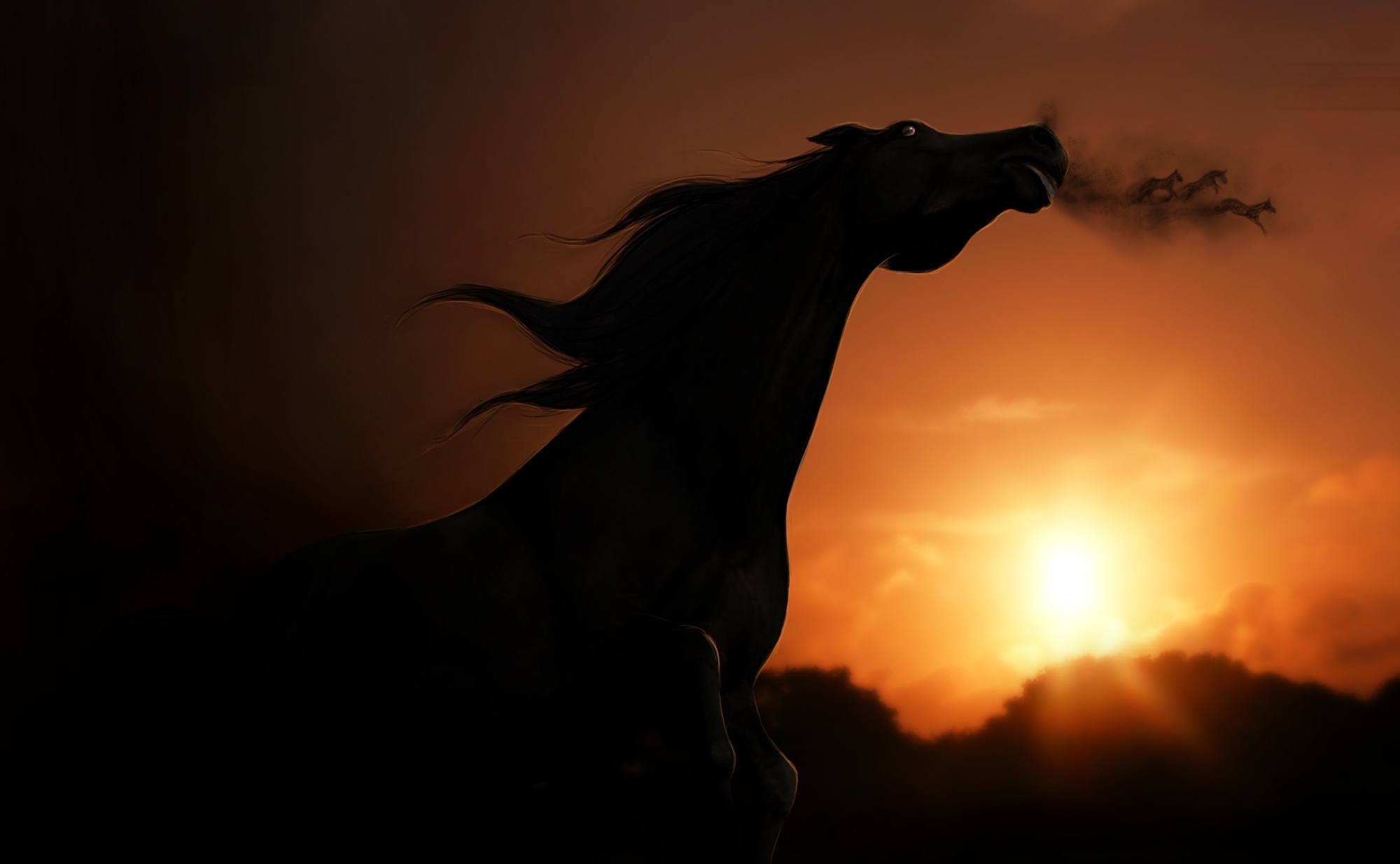 Wallpaper Horse Sunset Wallpapers