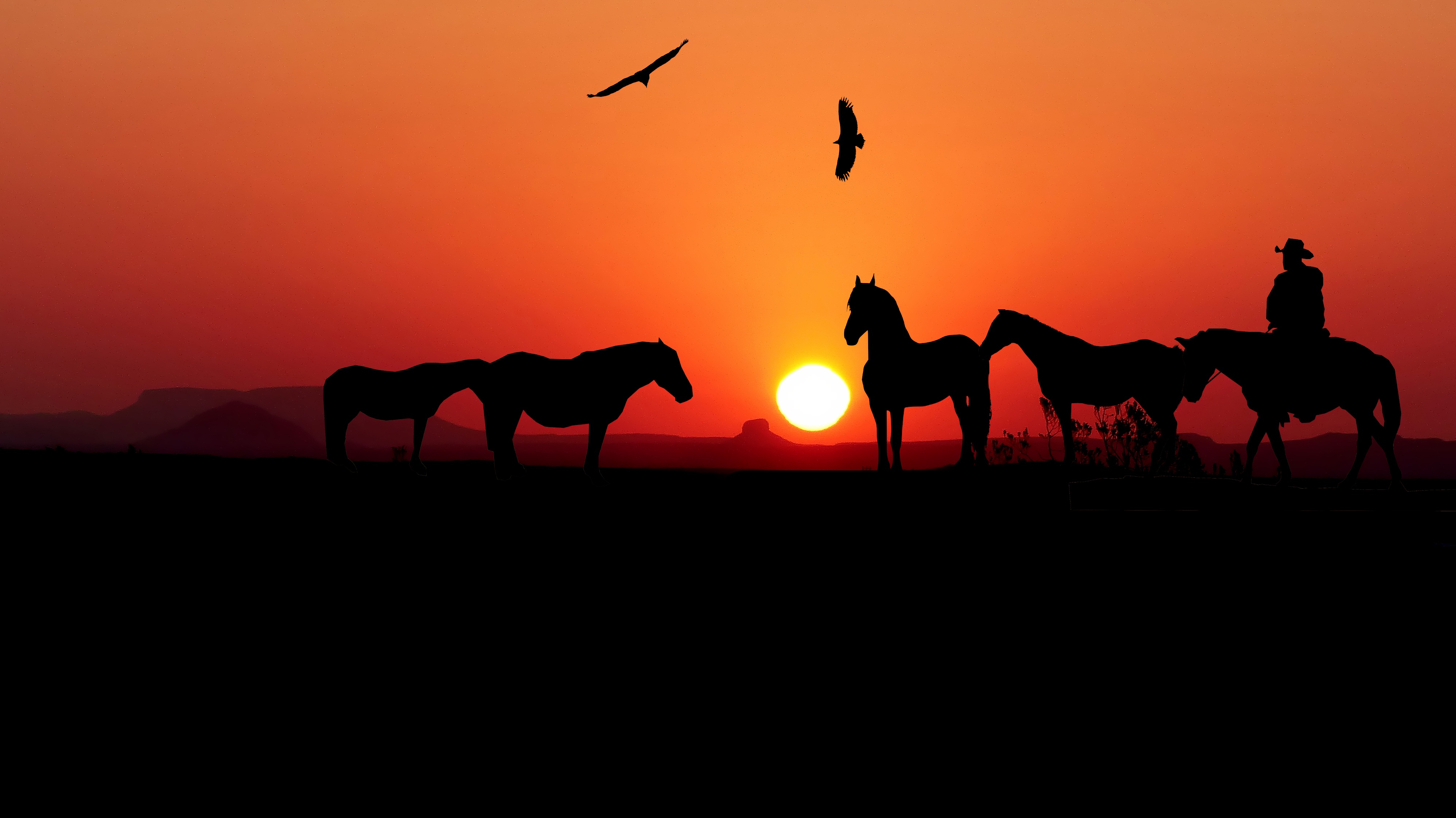 Wallpaper Horse Sunset Wallpapers