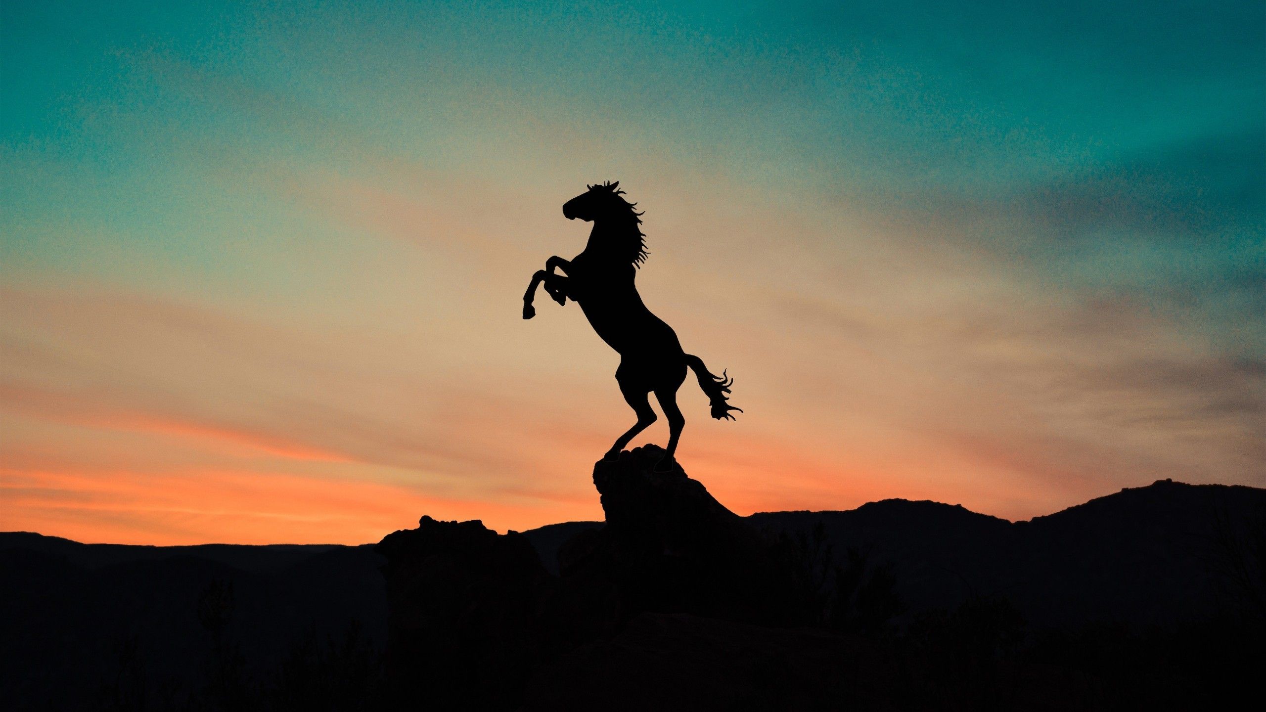 Wallpaper Horse Sunset Wallpapers