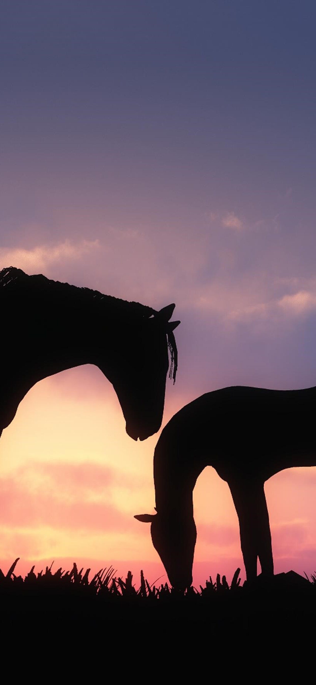 Wallpaper Horse Sunset Wallpapers