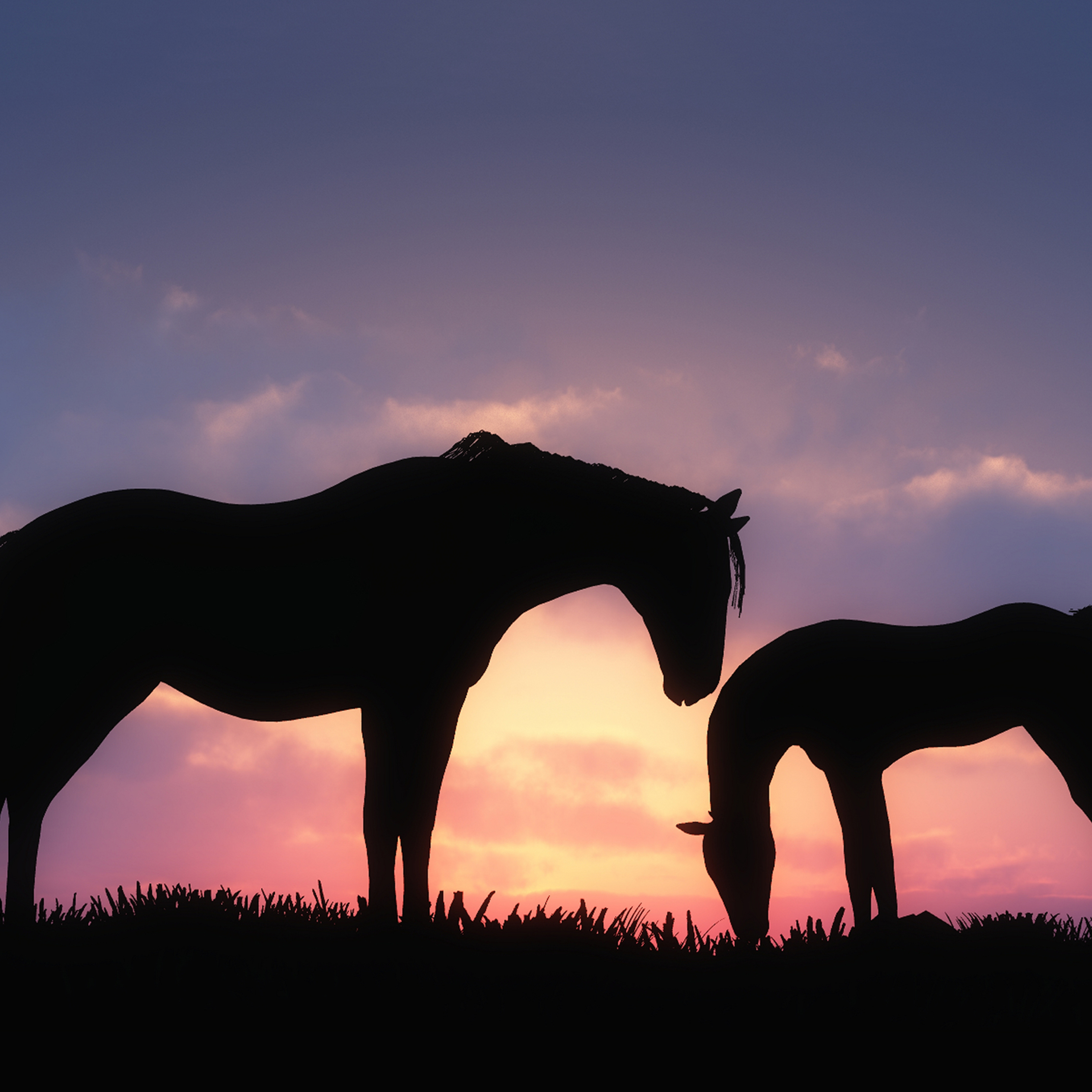 Wallpaper Horse Sunset Wallpapers