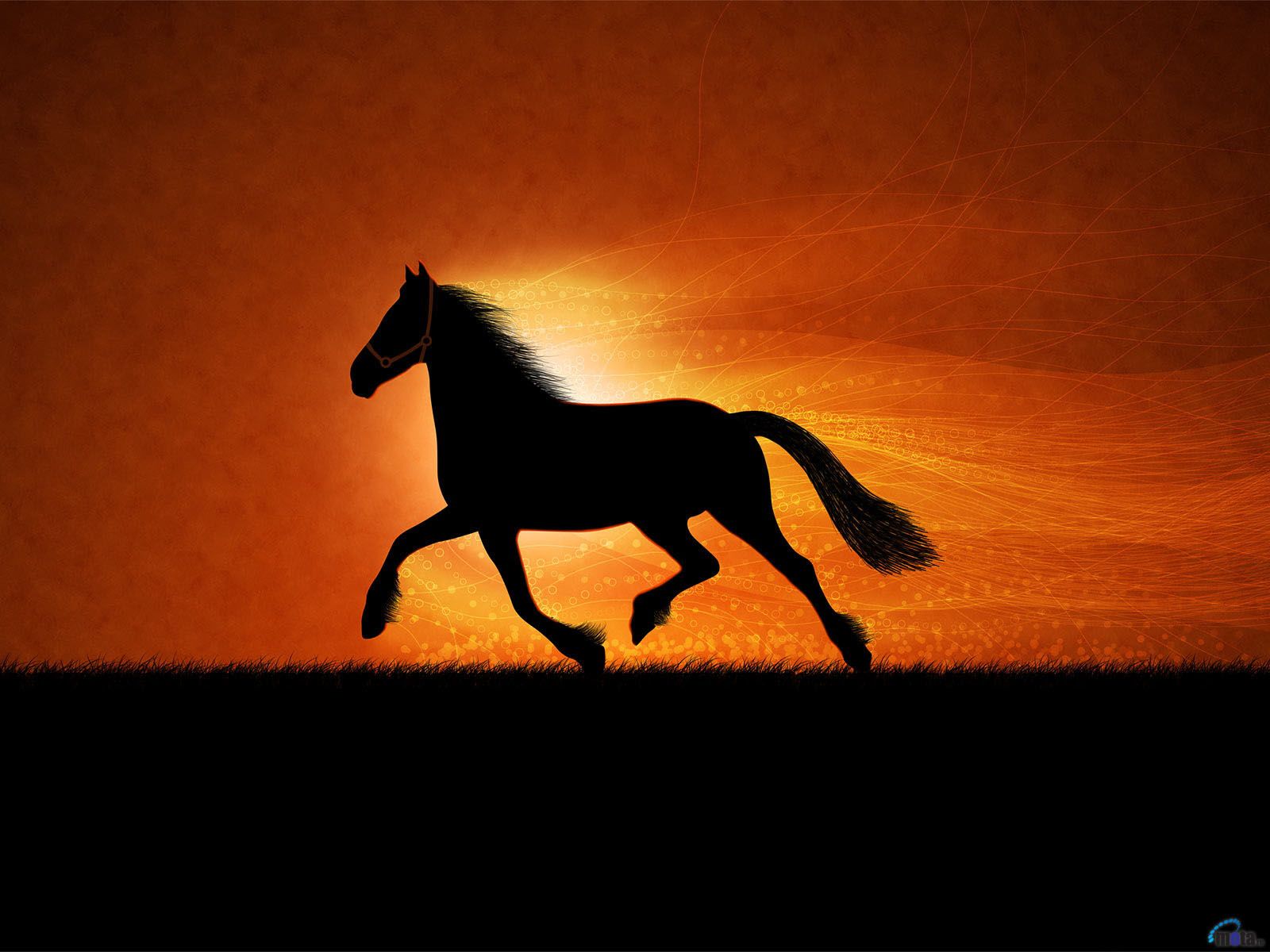 Wallpaper Horse Sunset Wallpapers