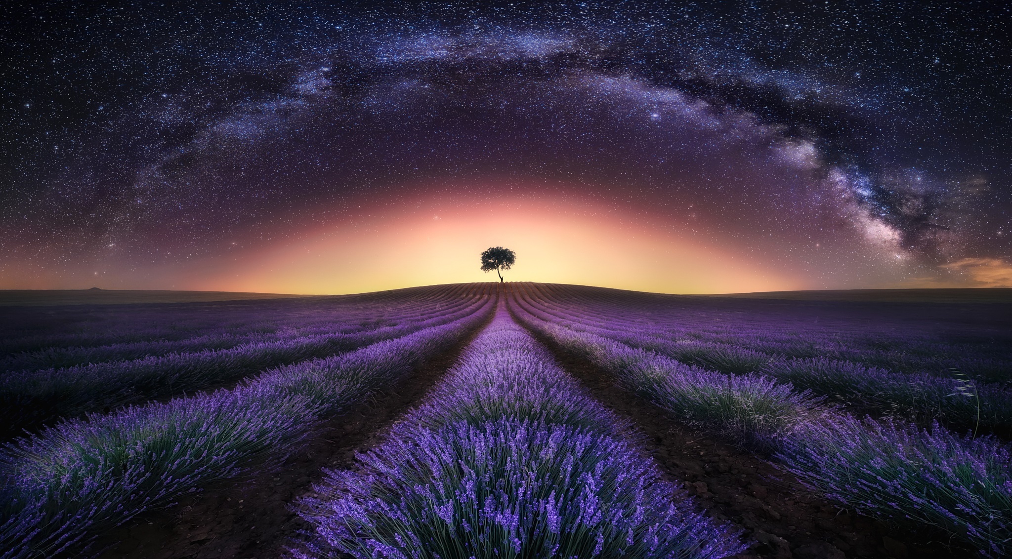 Wallpaper Lavender Field Wallpapers