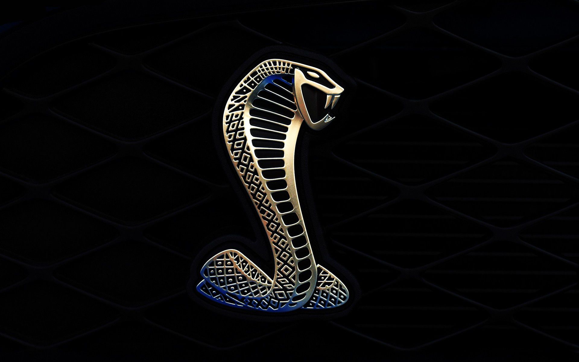 Wallpaper Logo Cobra Wallpapers