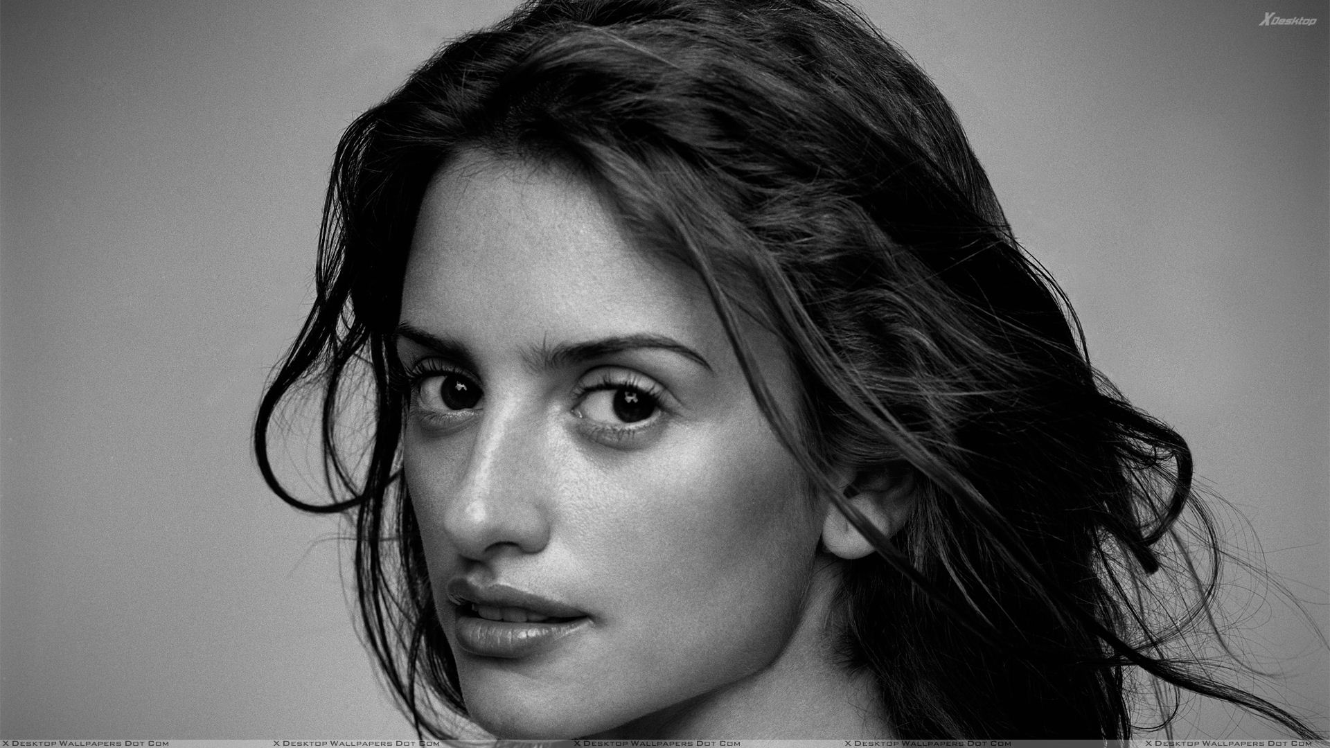 Wallpaper Penelope Cruz Wallpapers