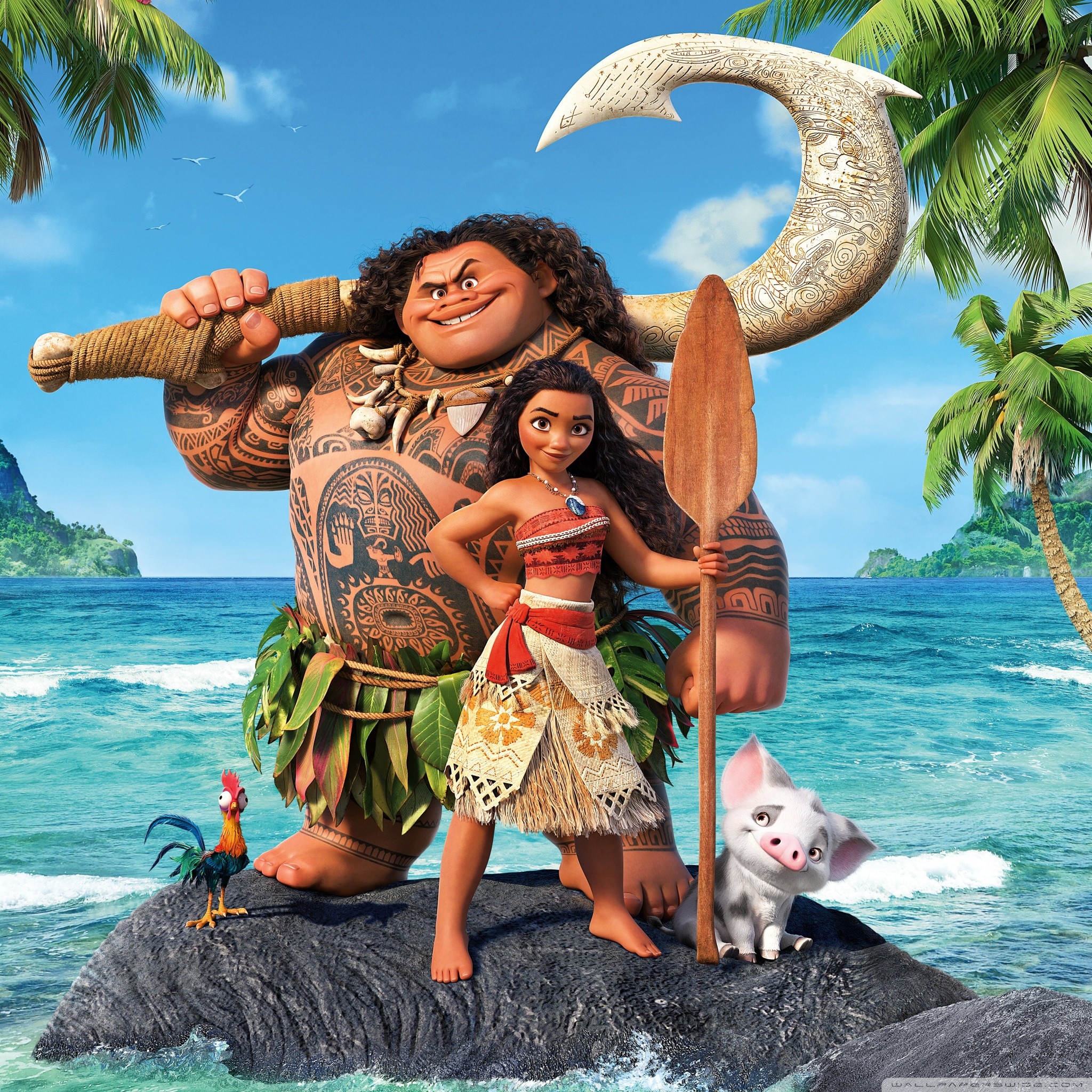 Wallpaper Pua Moana Wallpapers