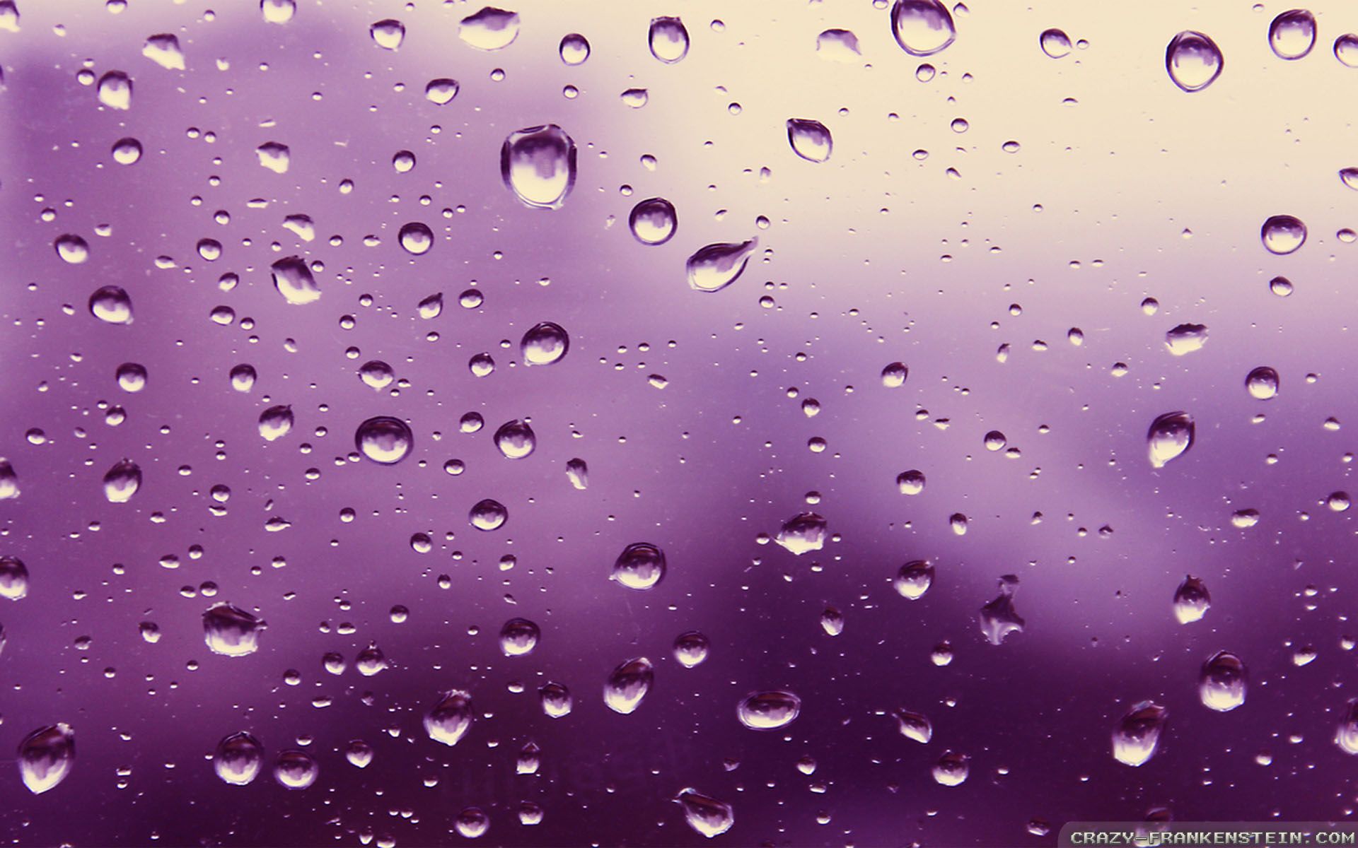 Wallpaper Purple Rain Wallpapers