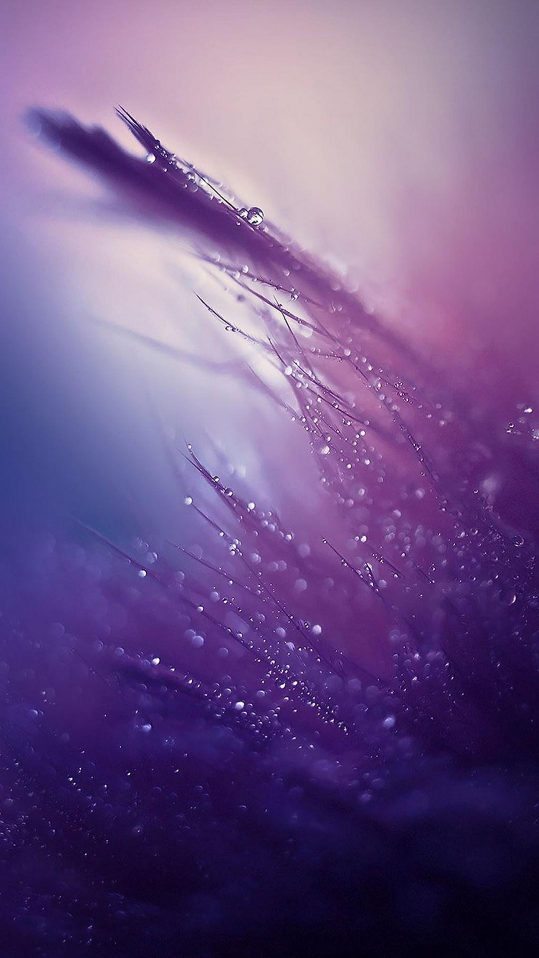 Wallpaper Purple Rain Wallpapers