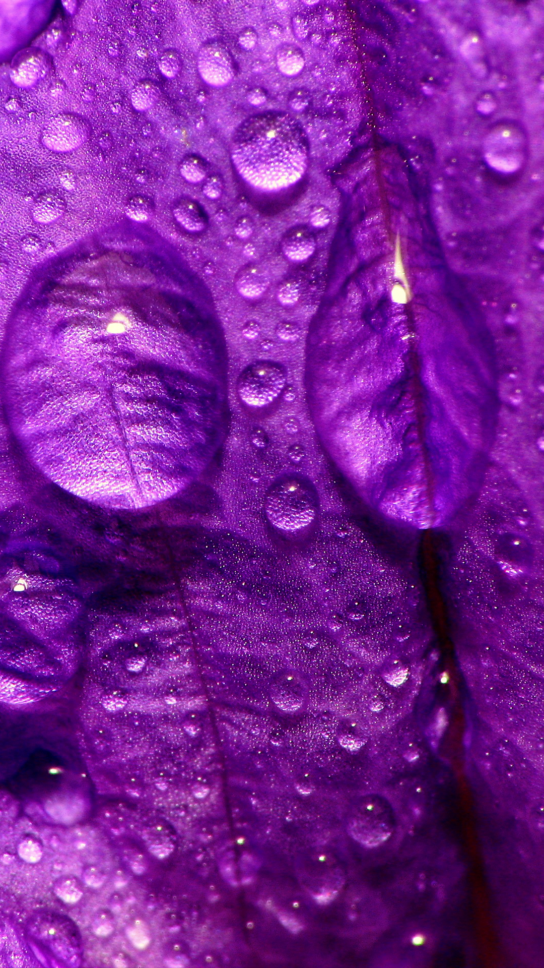 Wallpaper Purple Rain Wallpapers