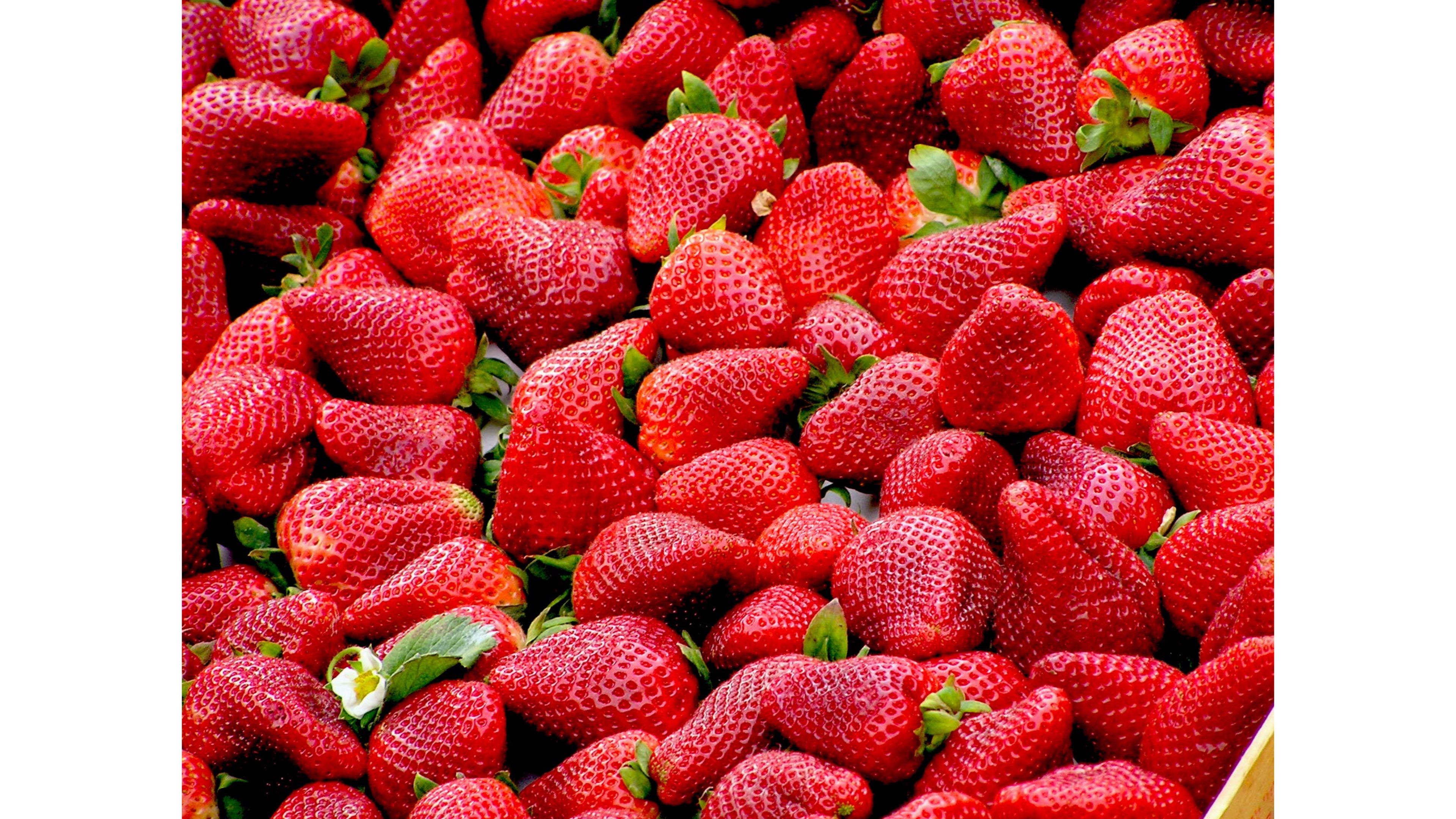 Wallpaper Strawberry Wallpapers