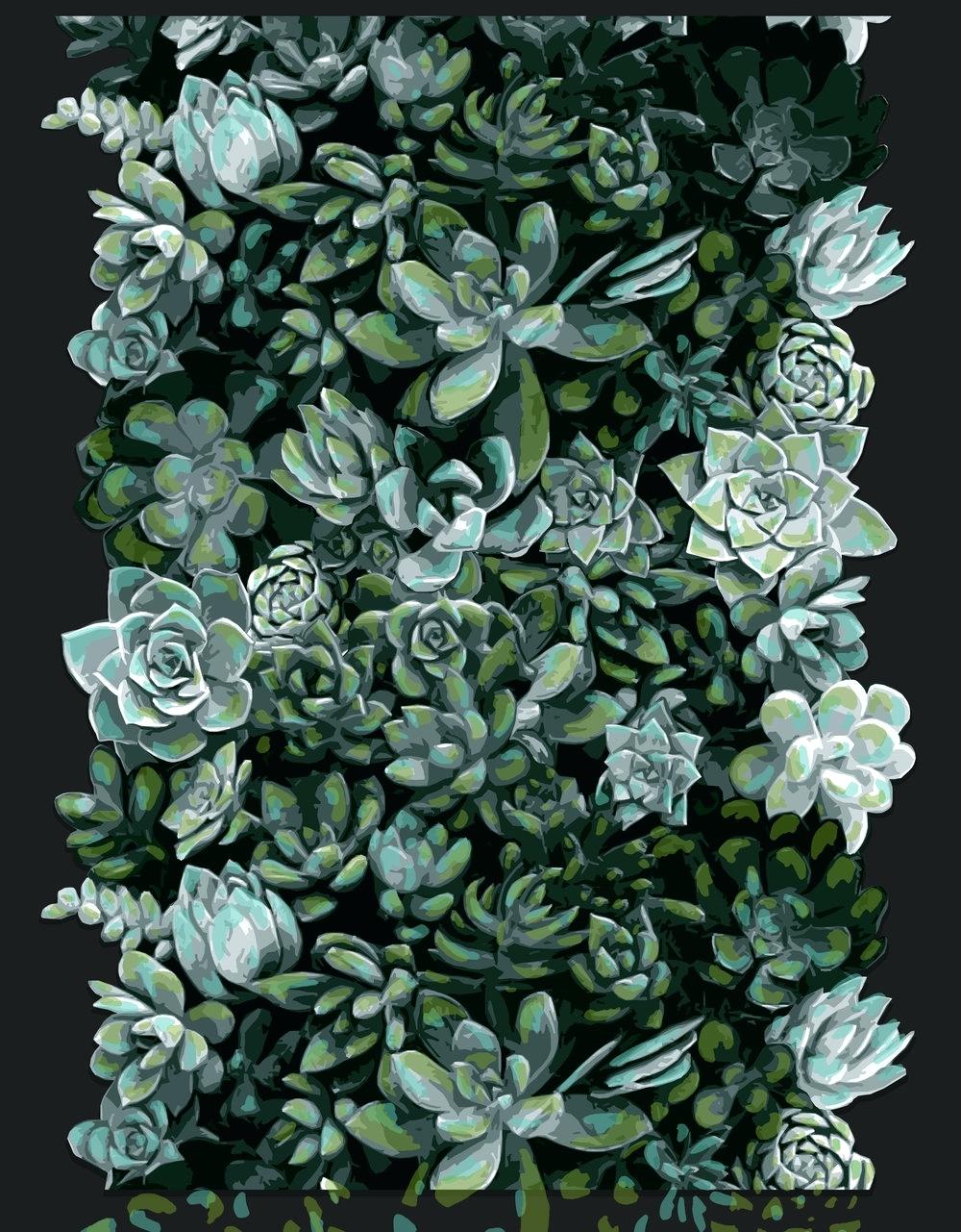 Wallpaper Succulents Wallpapers