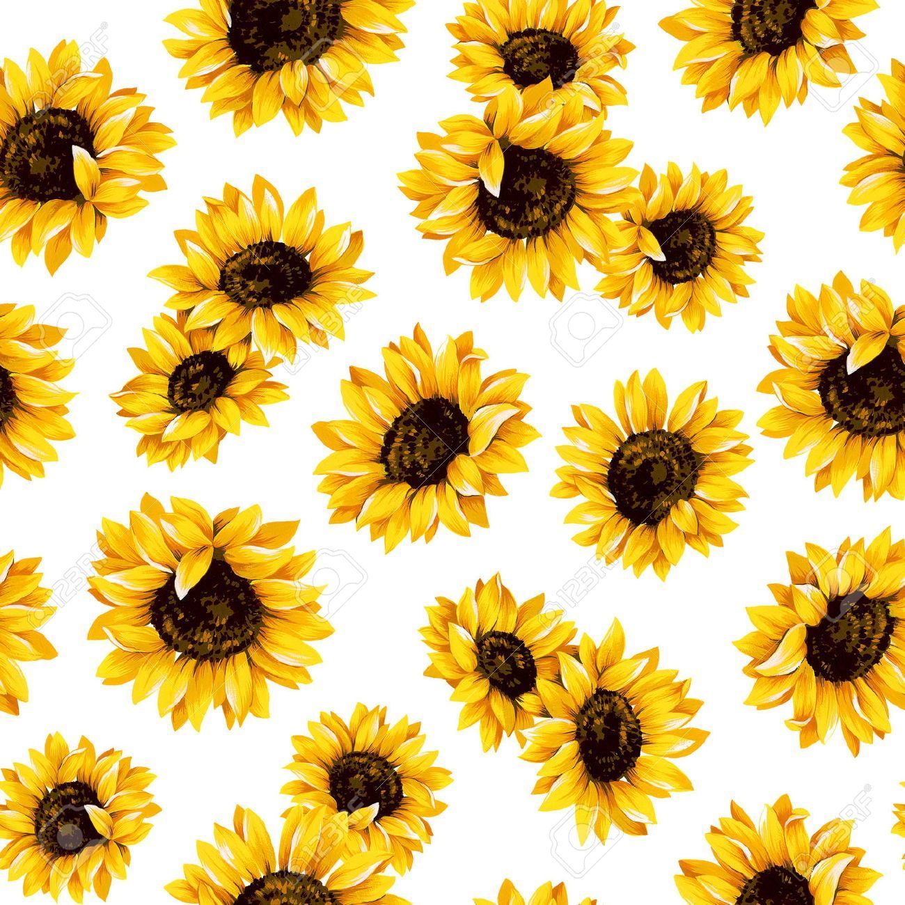 Wallpaper Sunflower Pattern Wallpapers