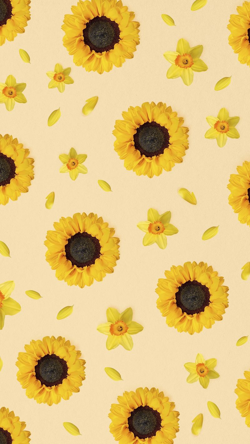 Wallpaper Sunflower Pattern Wallpapers