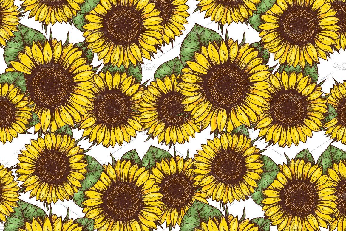 Wallpaper Sunflower Pattern Wallpapers