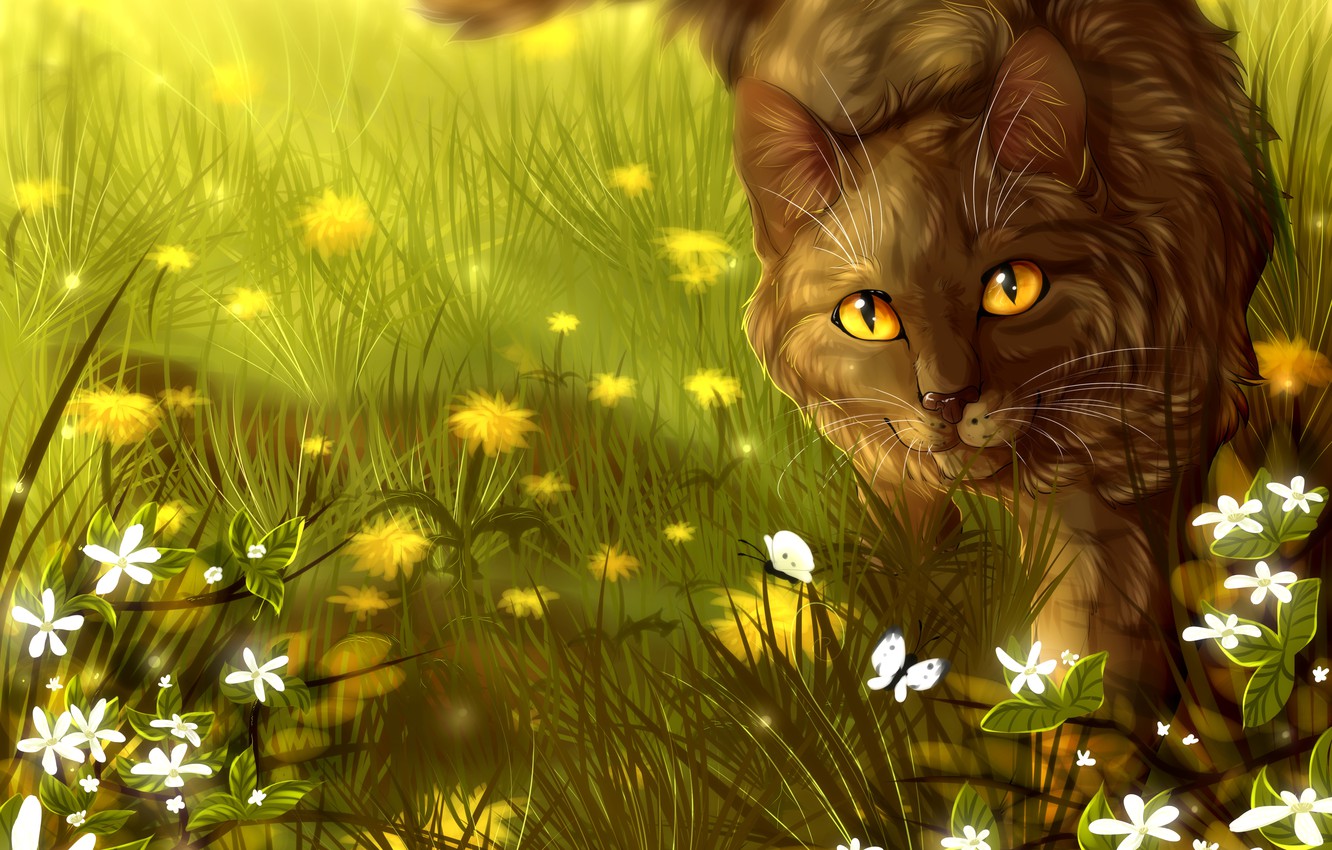 Warrior Cats Wallpapers