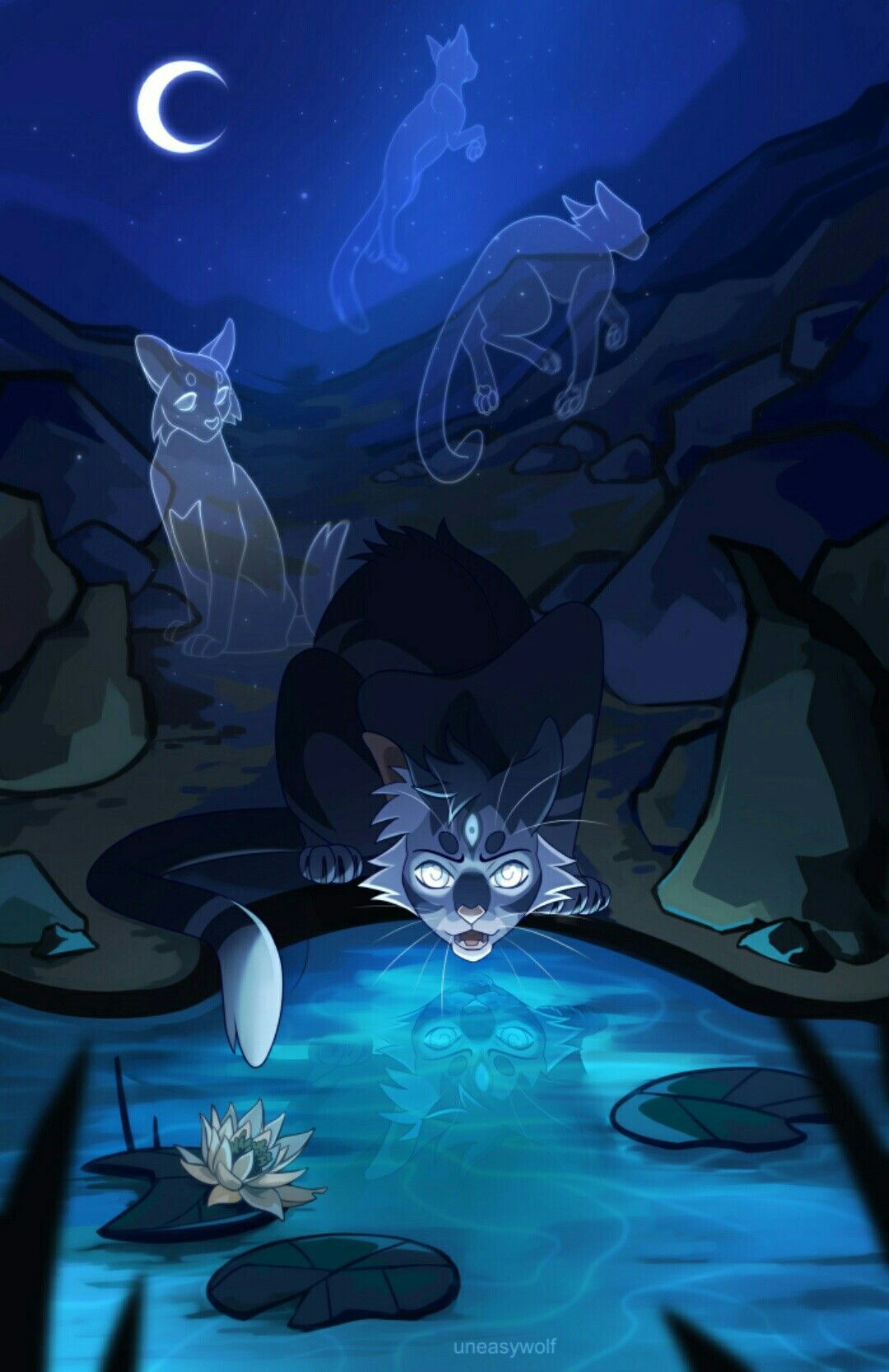 Warrior Cats Jayfeather Wallpapers