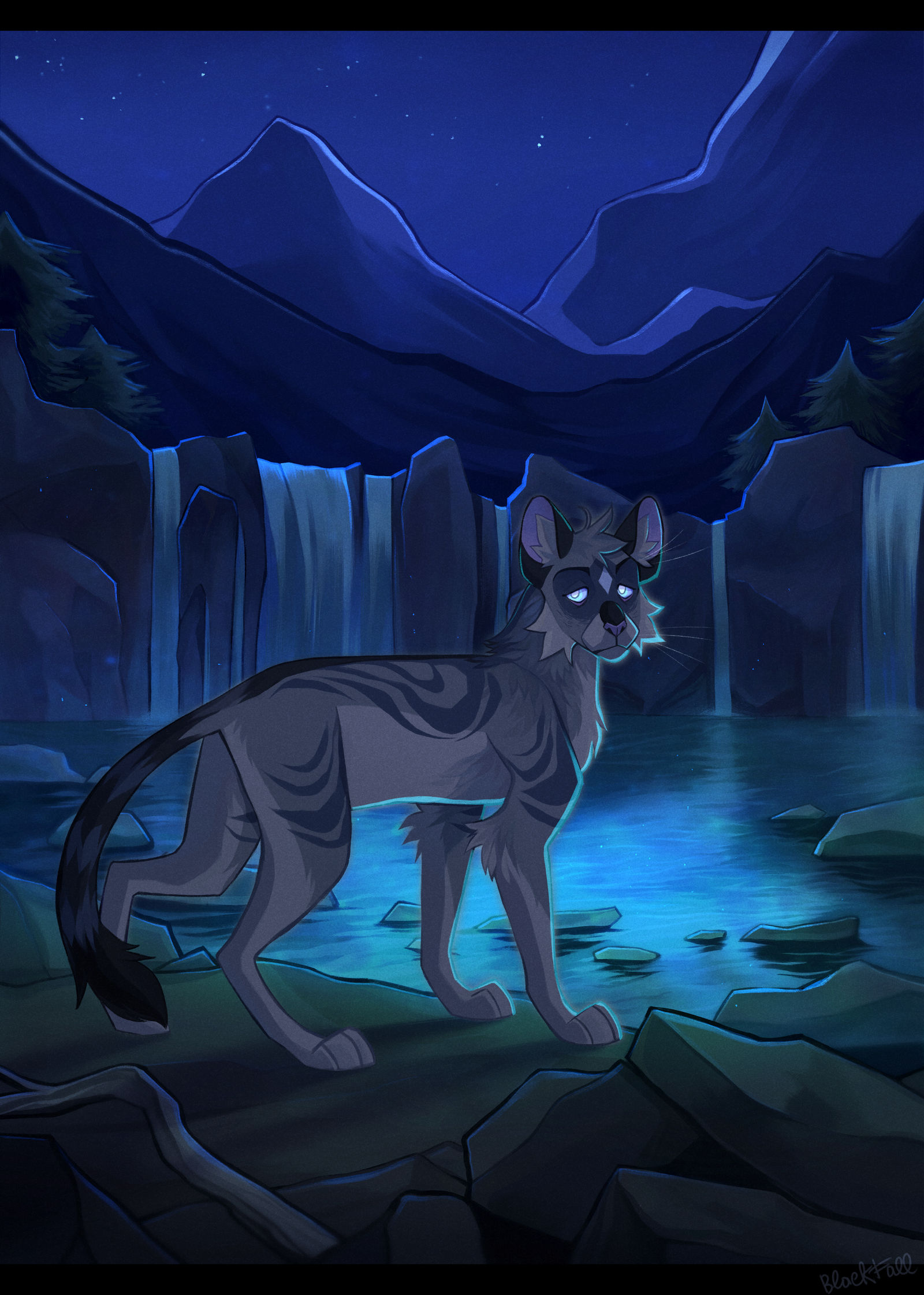 Warrior Cats Jayfeather Wallpapers