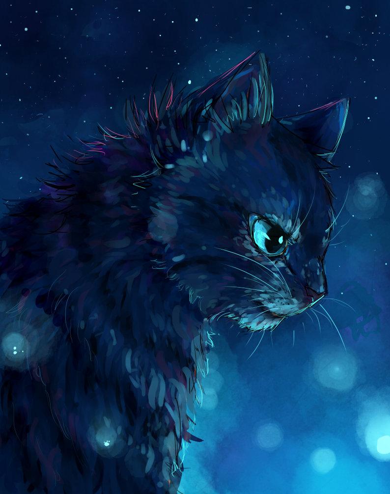 Warrior Cats Jayfeather Wallpapers