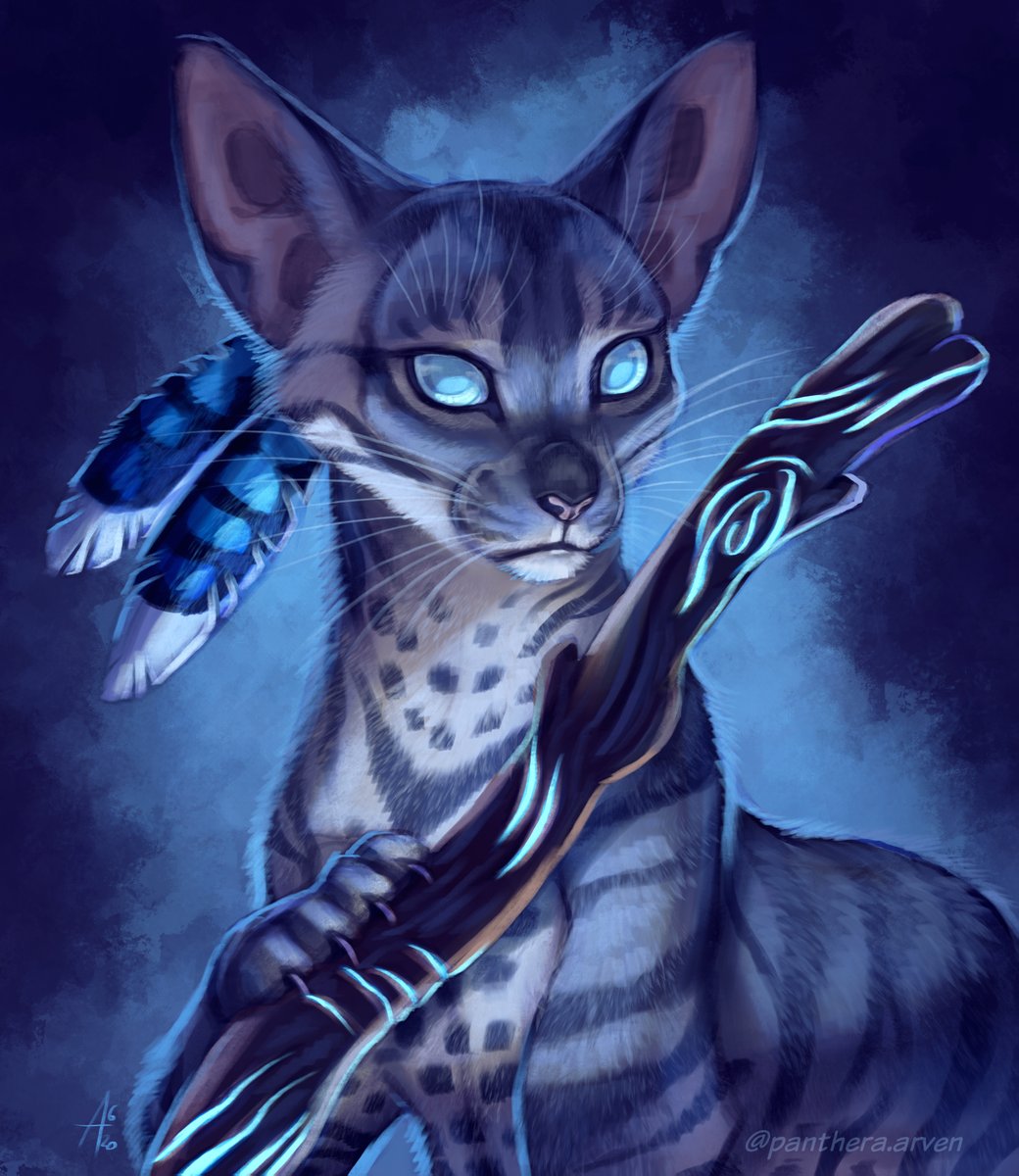 Warrior Cats Jayfeather Wallpapers