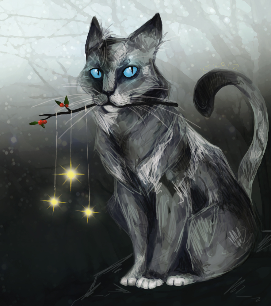 Warrior Cats Jayfeather Wallpapers