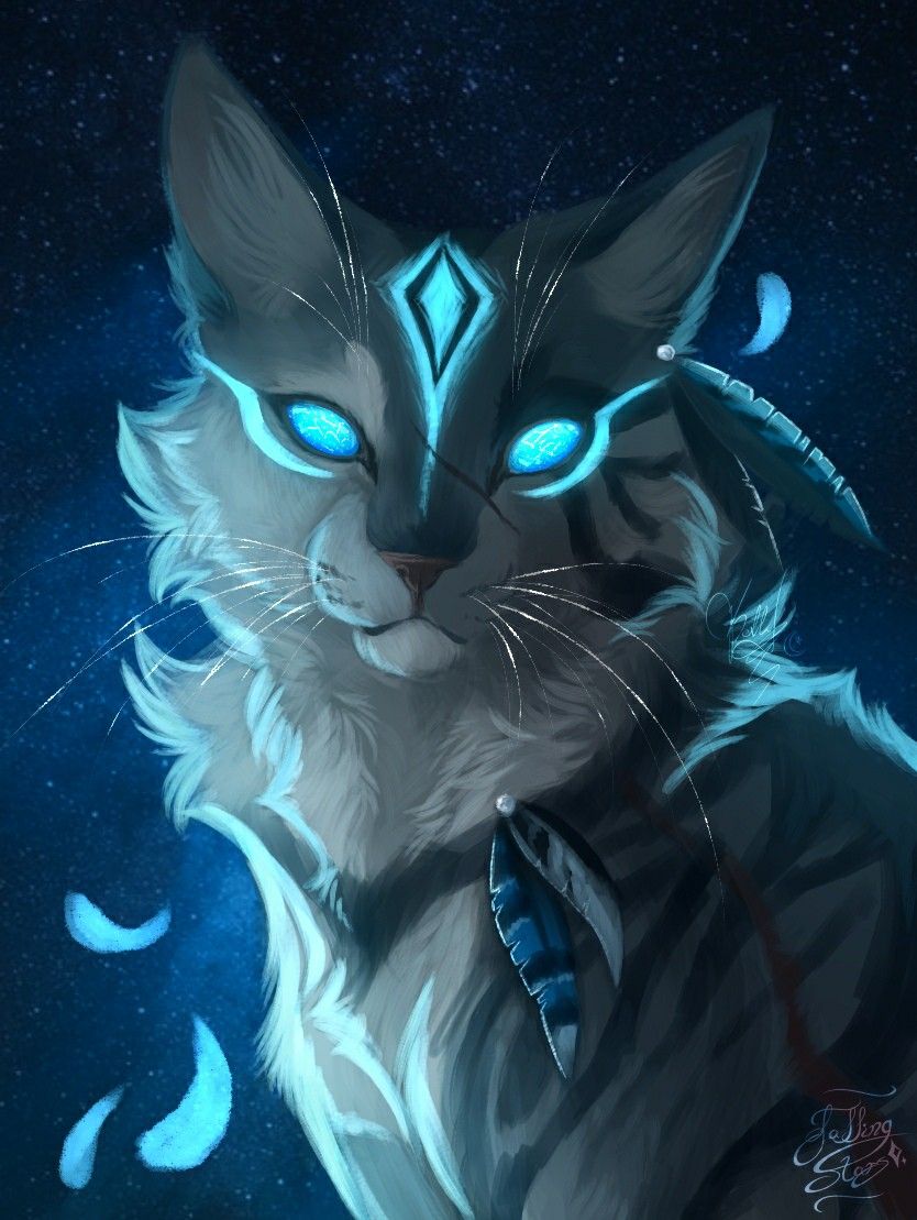 Warrior Cats Jayfeather Wallpapers