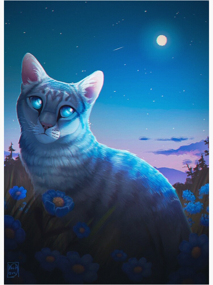 Warrior Cats Jayfeather Wallpapers