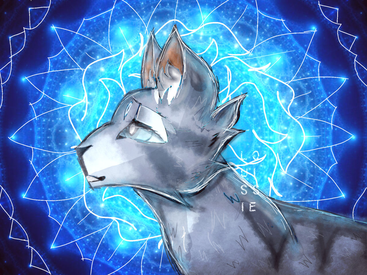 Warrior Cats Jayfeather Wallpapers