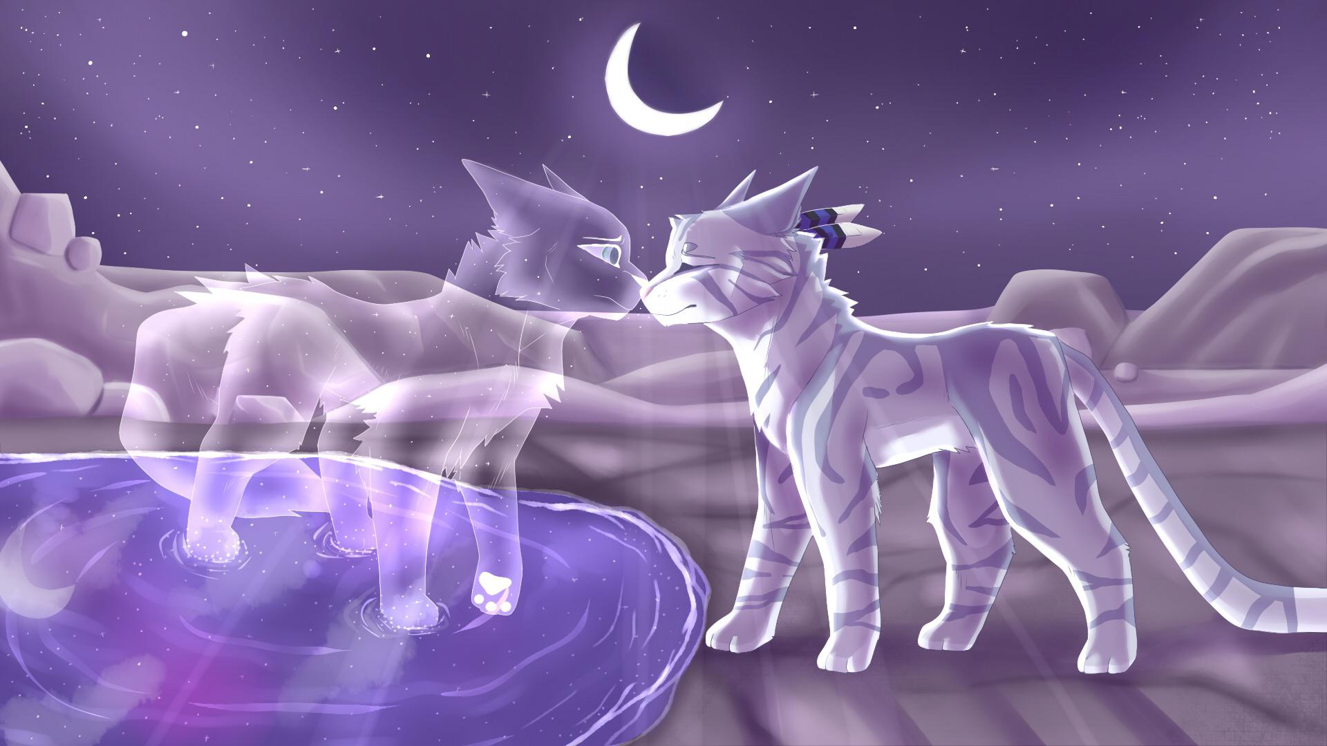 Warrior Cats Jayfeather Wallpapers