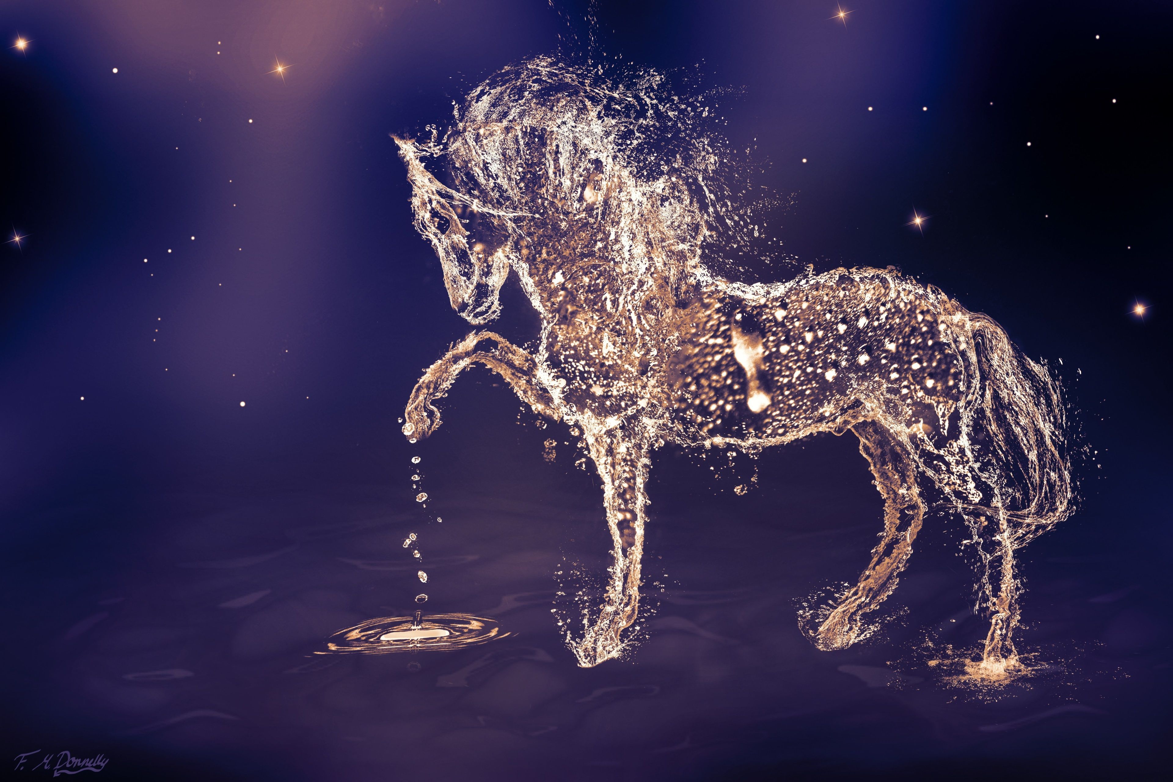 Water Horse Wallpapers